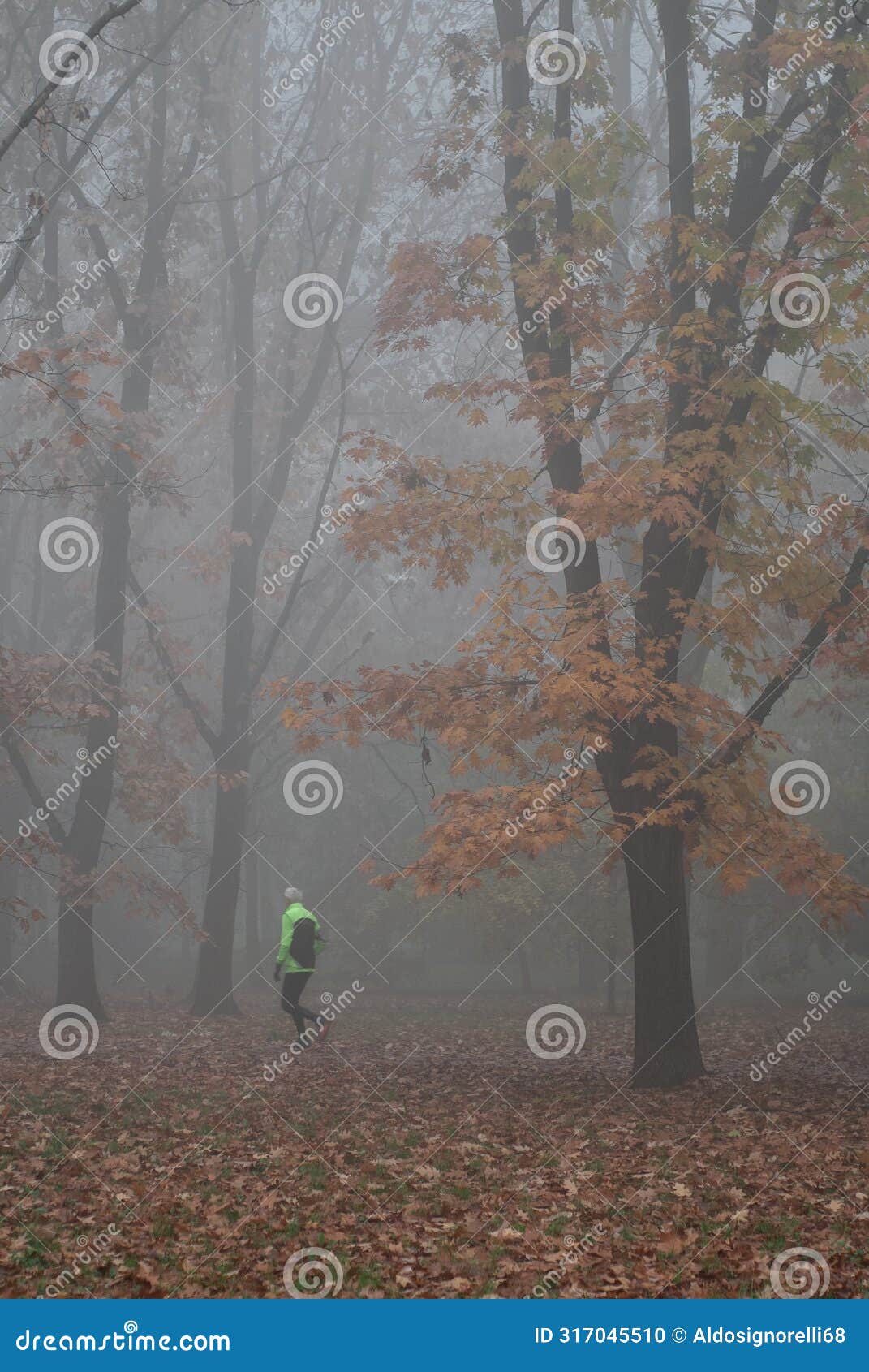 man ojgging in a foggy autumn day in the park