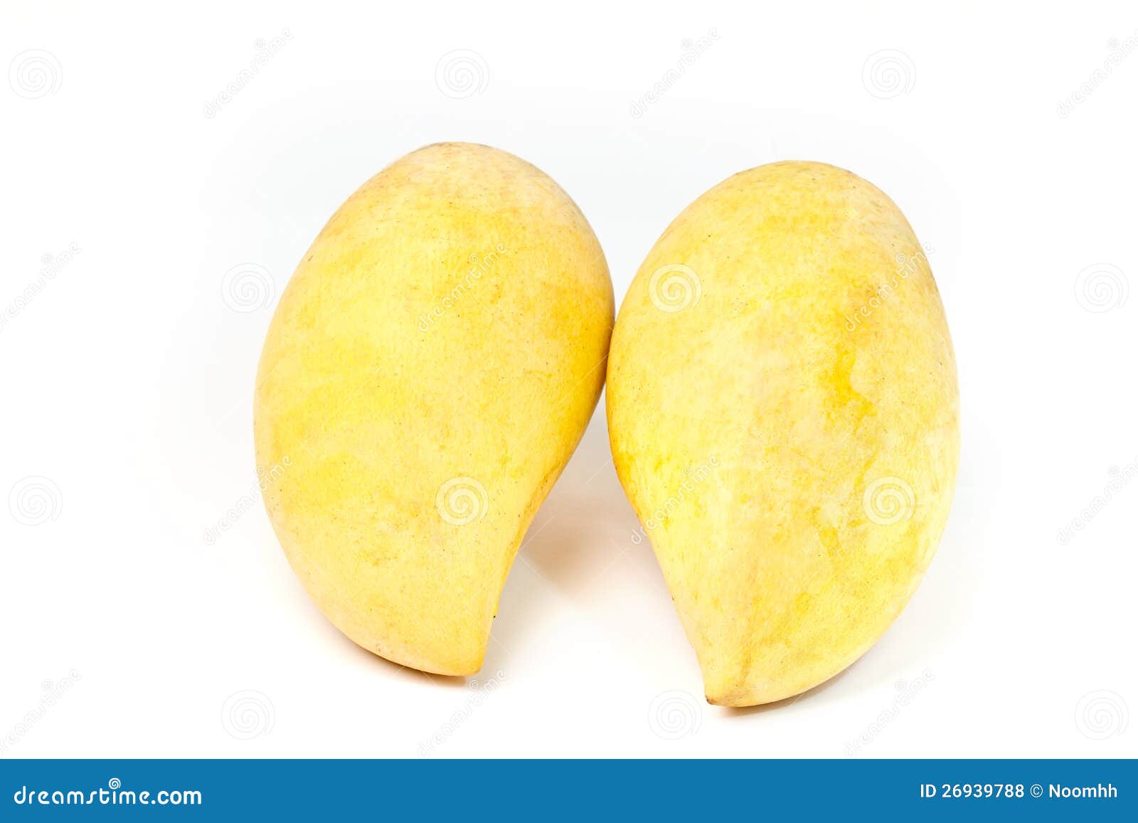 Yellow mango stock photo. Image of green, freshness, ripe 26939788