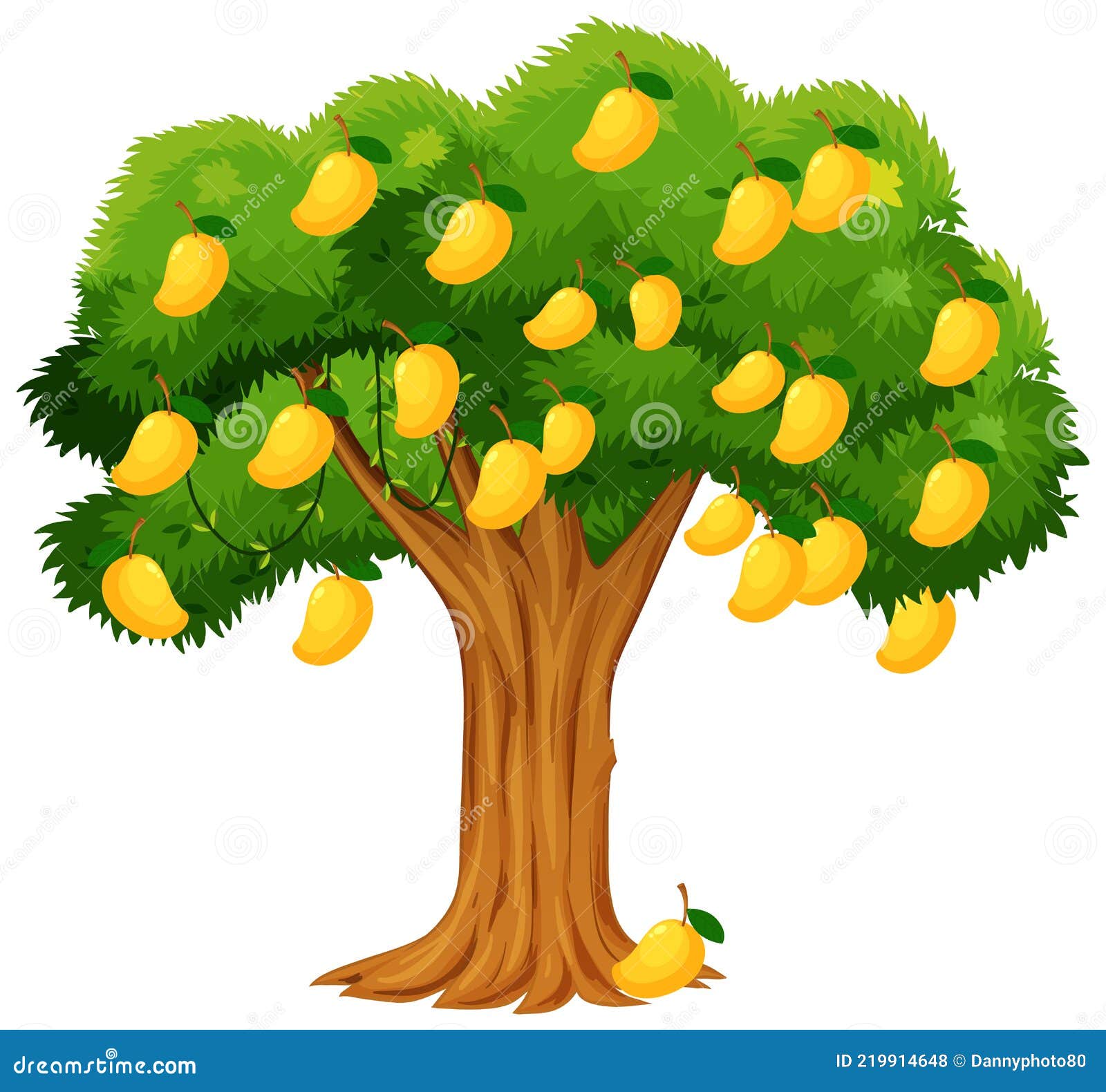 Yellow Mango Tree Isolated on White Background Stock Vector ...