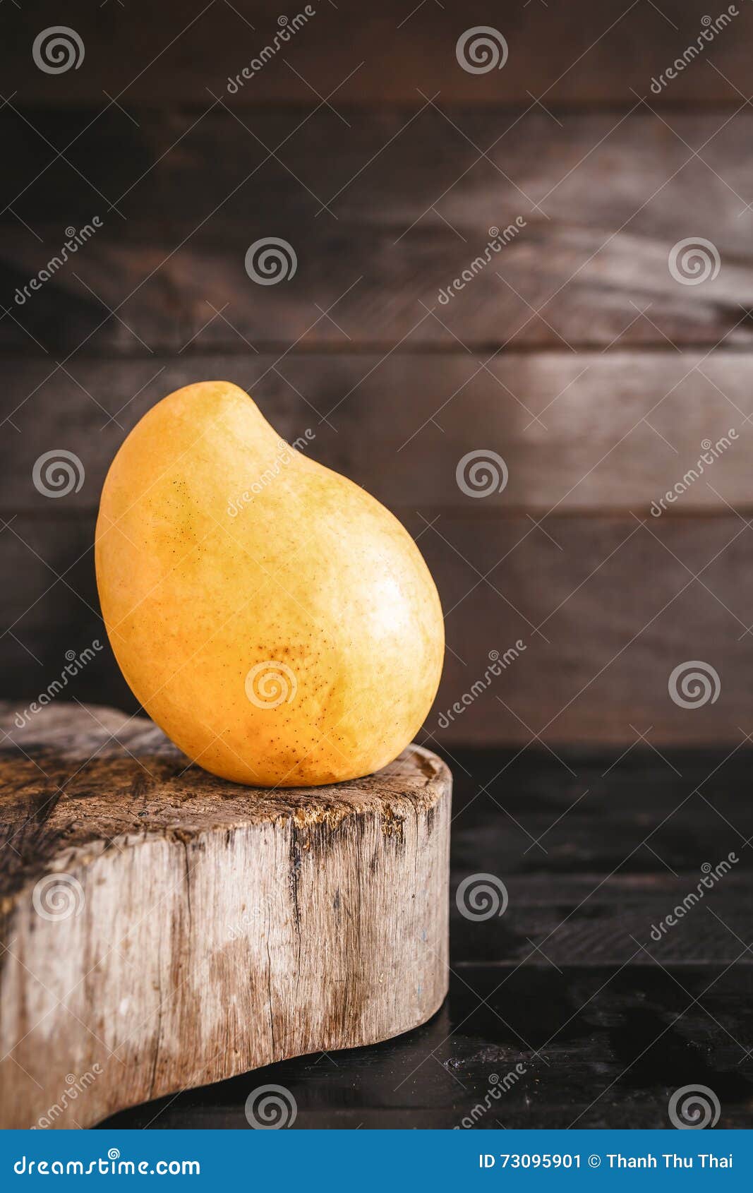 Yellow Mangoes stock image. Image of food, asiafruit 73095901