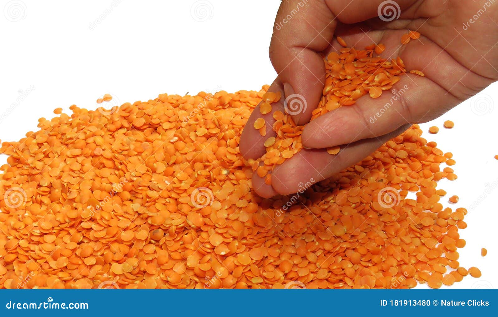 Yellow Mung Dal Seeds Dropping,Isolated Yellow Mung Dal Seeds Stock ...