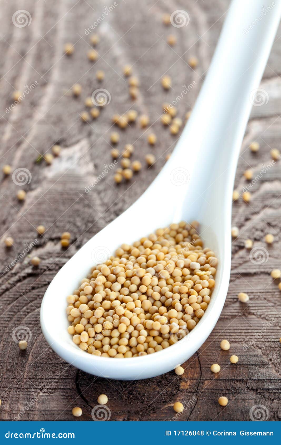 Yellow Mustard Seeds on Spoon Stock Photo Image of aromatic, seeds