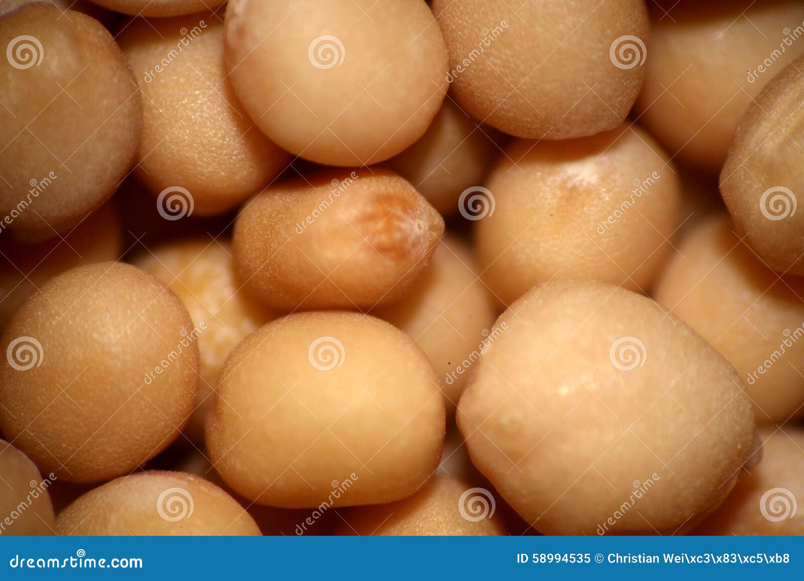 Yellow Mustard Under the Microscope Stock Image Image of pepper