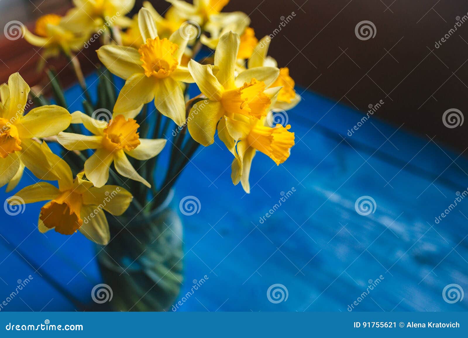 Yellow Narcissus or Daffodil Flowers on Blue Wooden Background ...