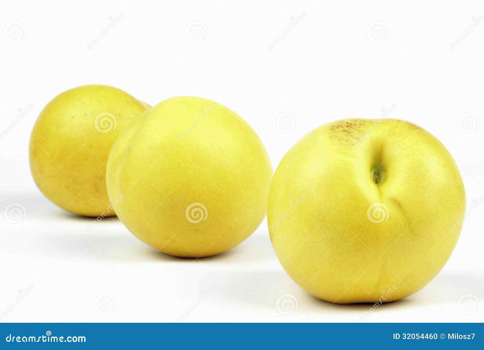 Yellow nectarines stock photo. Image of juicy, fresh 32054460