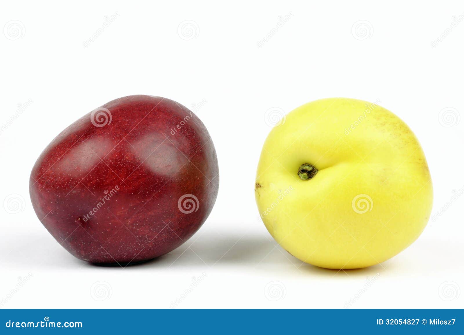 Yellow nectarines stock image. Image of nutrition, healthy 32054827