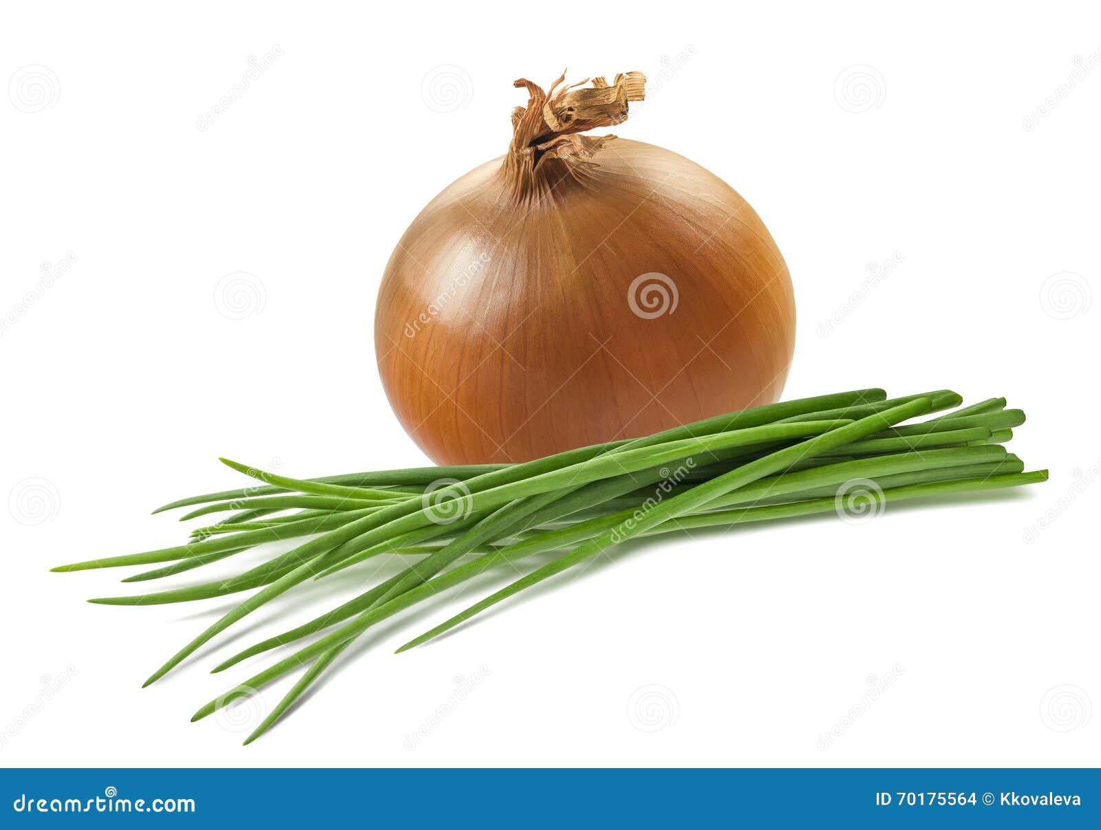 Yellow Onion Green Scallion 4 Isolated On White Background Stock Photo