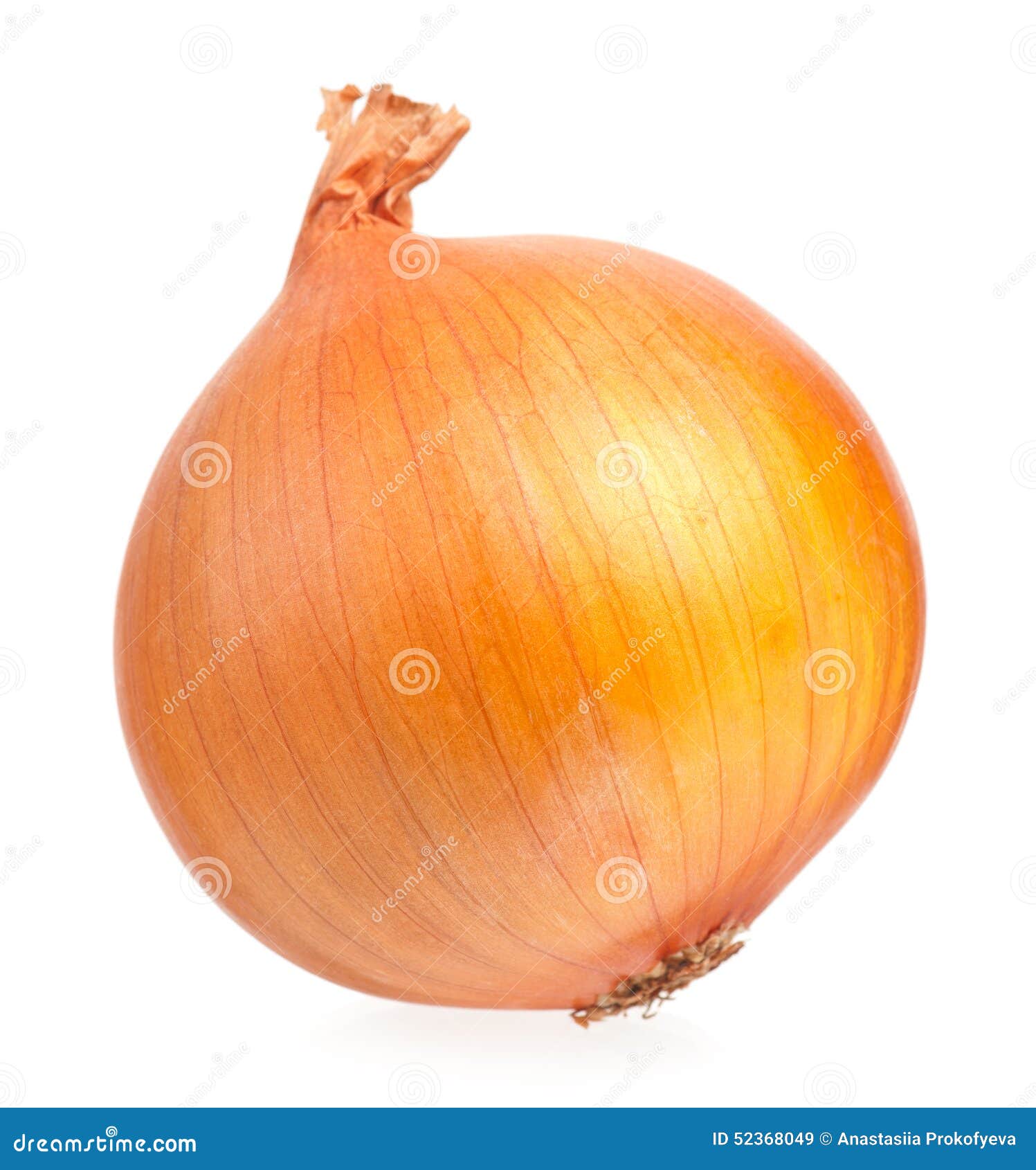 Yellow onion stock image. Image of harvest, organic, nutrition 52368049