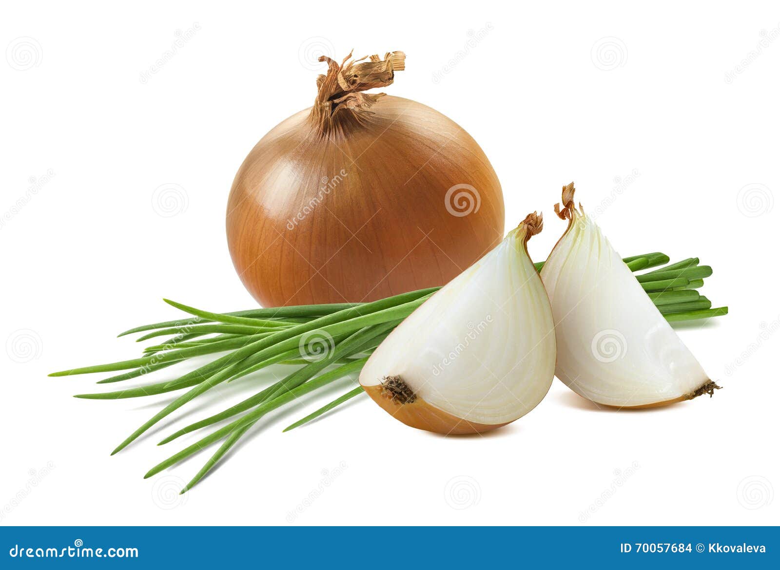 Yellow Onion Quarters Green Scallion Isolated on White Stock Photo Image of scallion, green