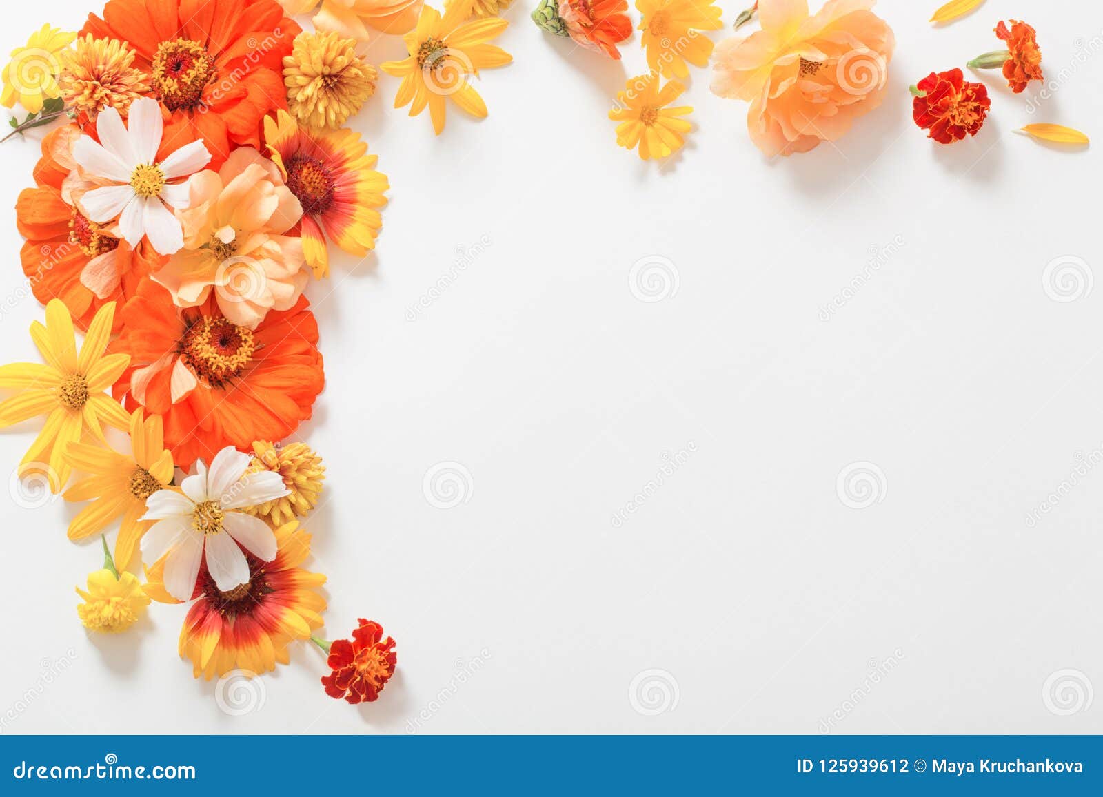 Yellow and Orange Flowers on White Background Stock Photo - Image of flat,  orange: 125939612