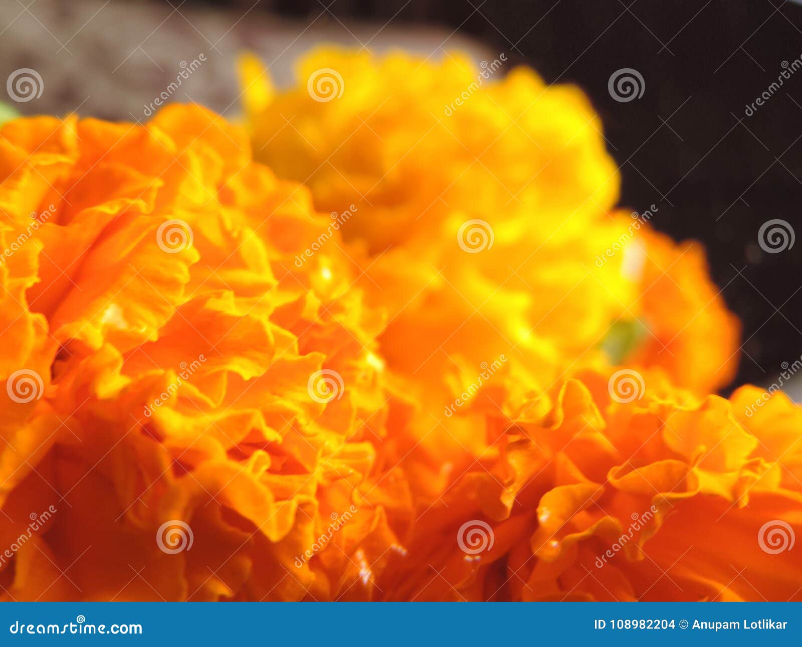 Orange Background Images  Free Download on Freepik