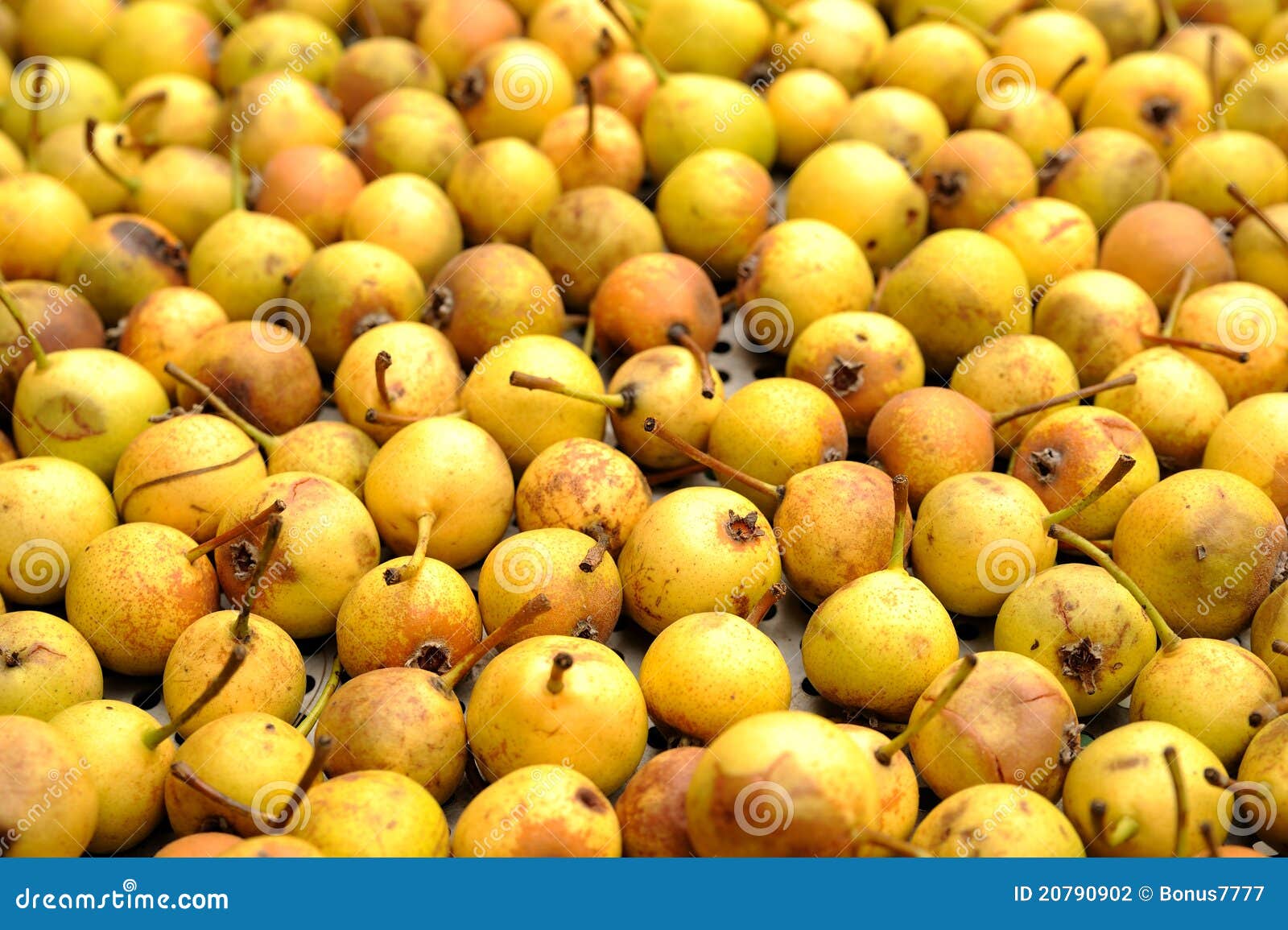 Yellow pears stock photo. Image of yellow, food, nature 20790902