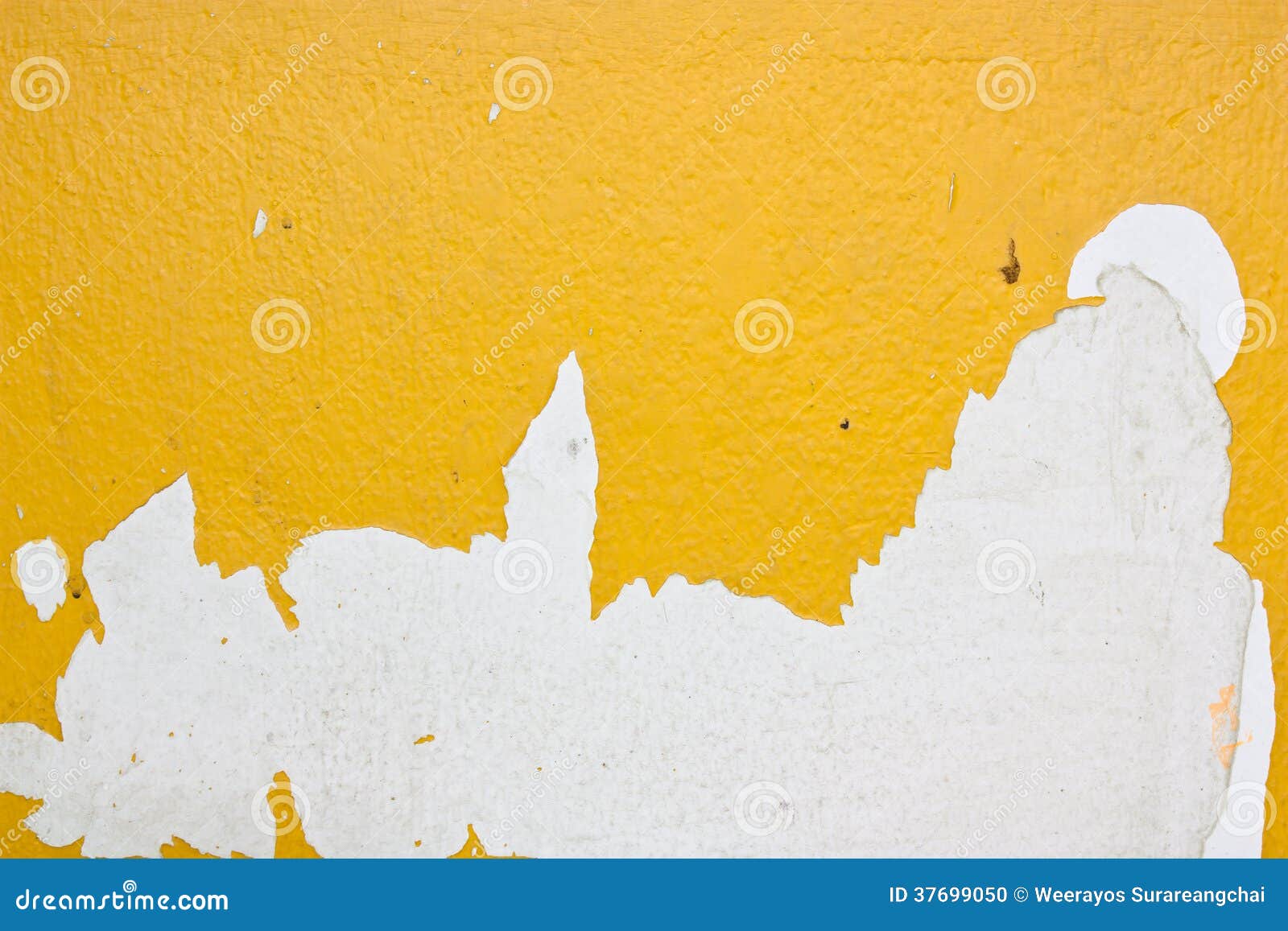 135 Ugly Yellow Wallpaper Stock Photos Free & RoyaltyFree Stock
