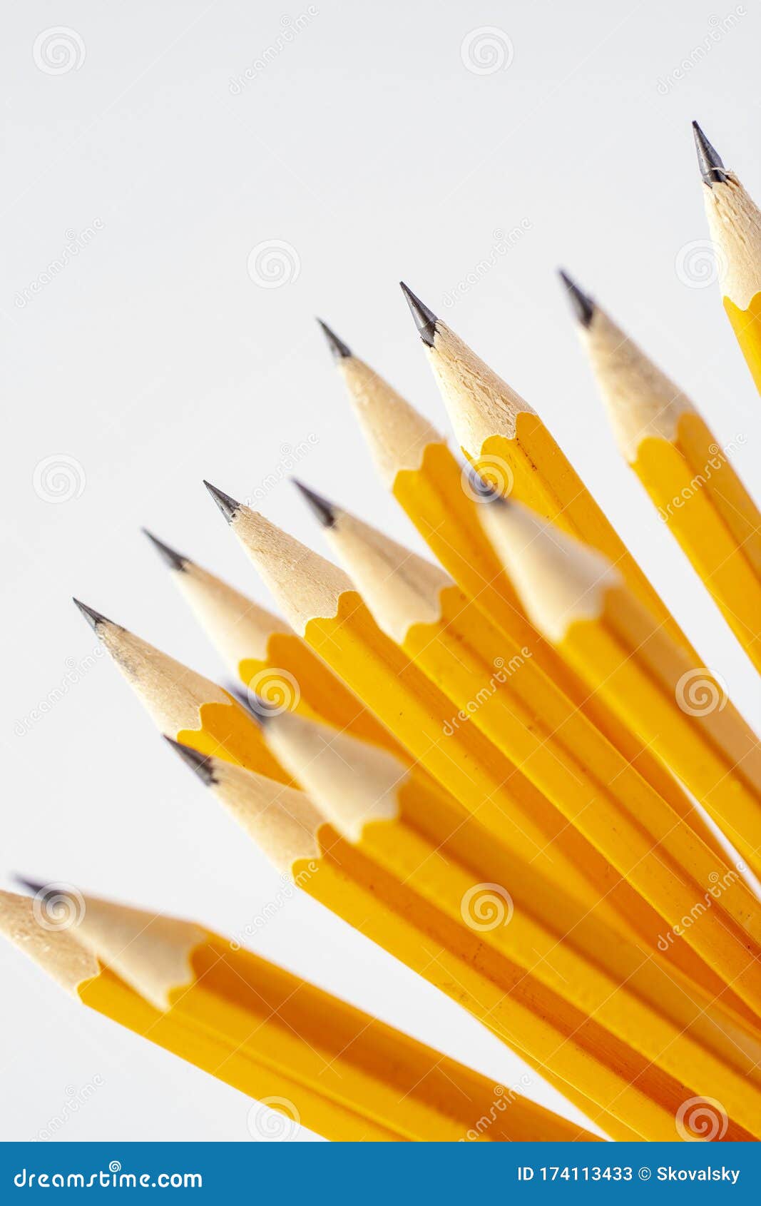 Yellow Pencils on White Background Stock Image Image of tool, eraser