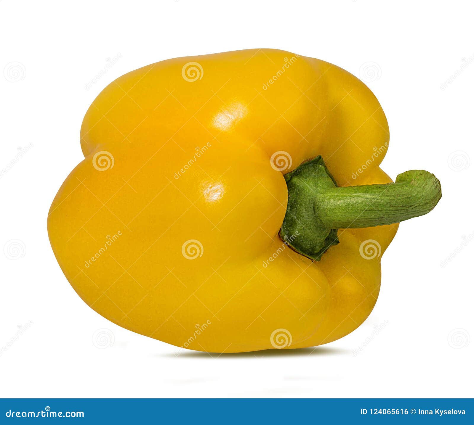 Yellow peppers isolated. stock photo. Image of freshness 124065616