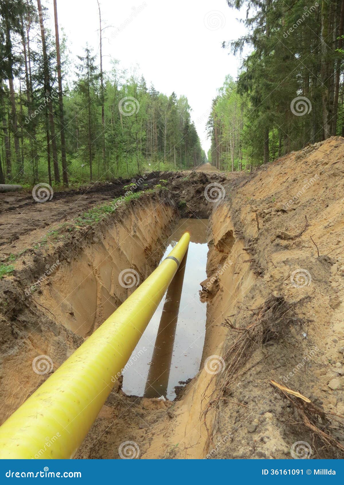 Yellow pipe stock image. Image of plant, communication 36161091