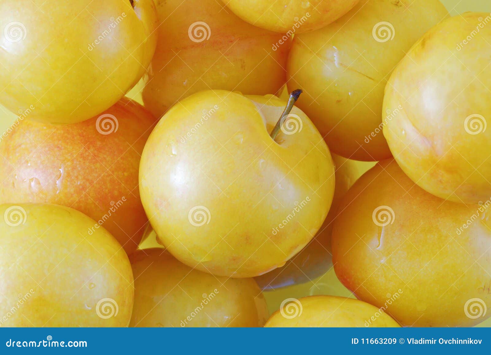 Yellow plums stock image. Image of healthy, ripe, pile 11663209