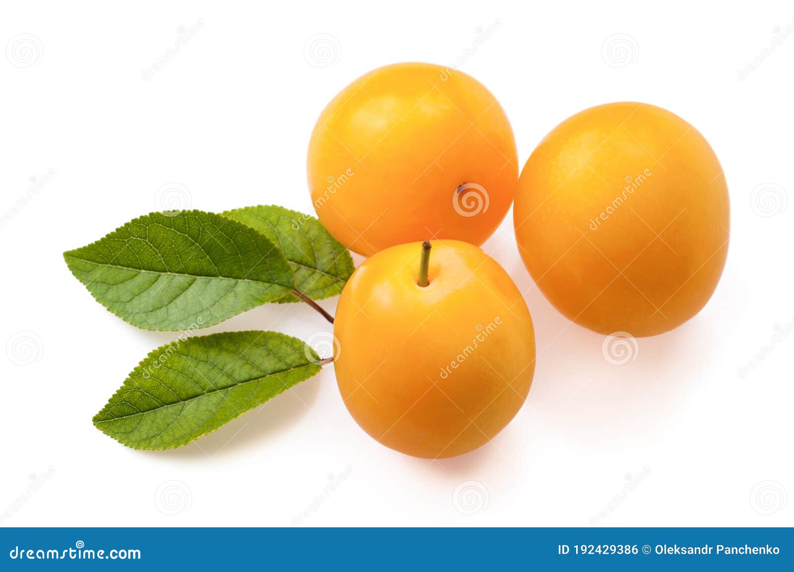 Yellow plums isolated stock photo. Image of group, macro 192429386