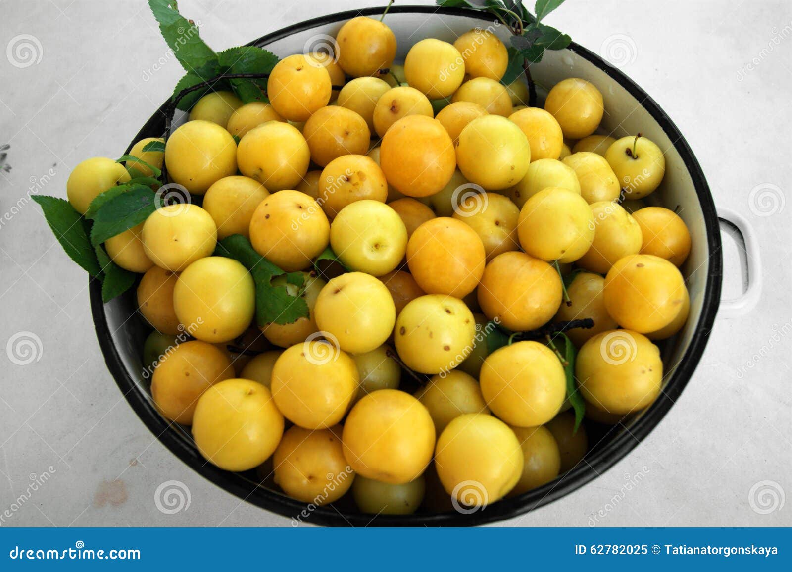 Yellow plums stock image. Image of breezy, austral, delicious 62782025