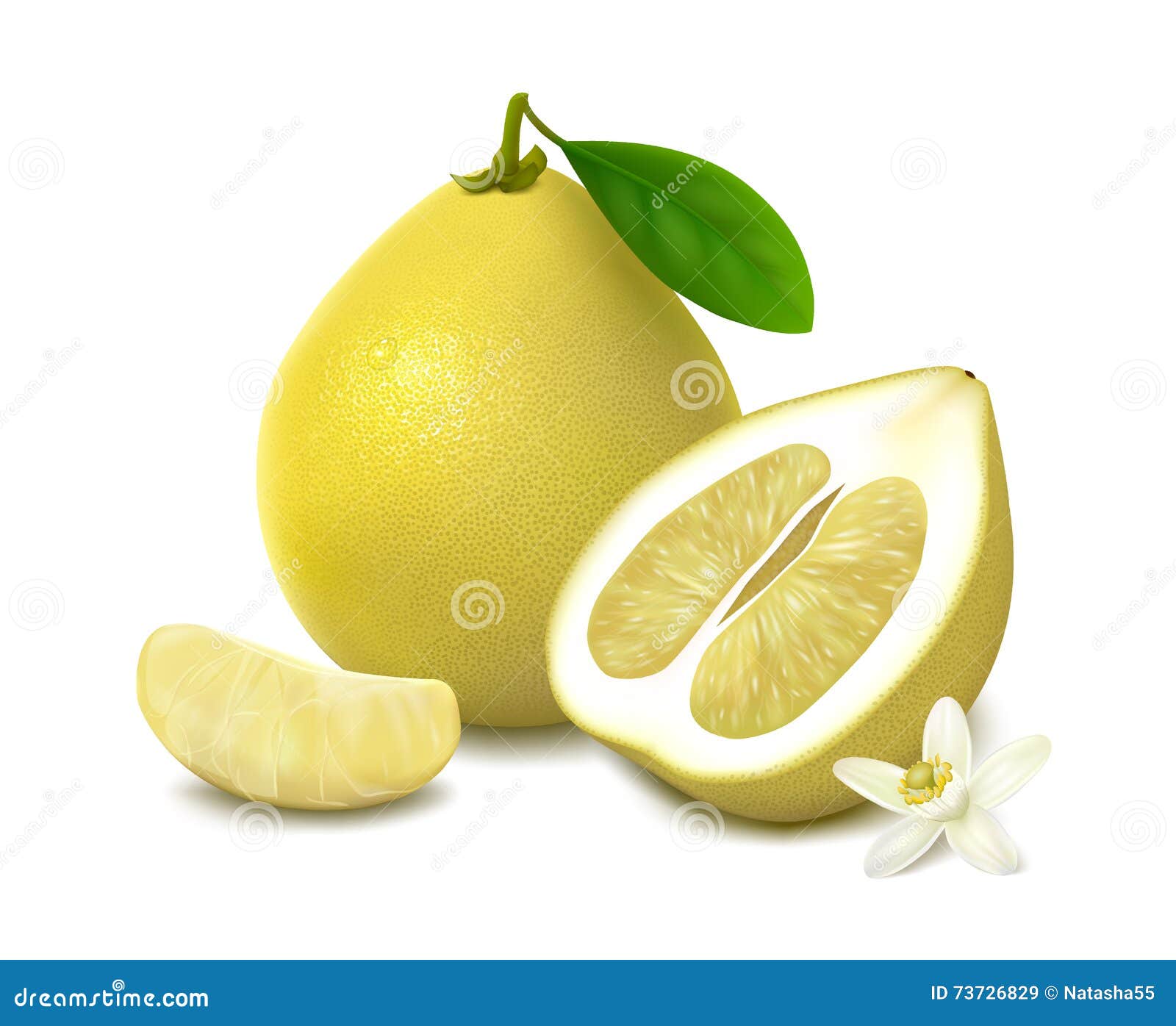 Yellow Pomelo Fruit on White Background Stock Vector Illustration of