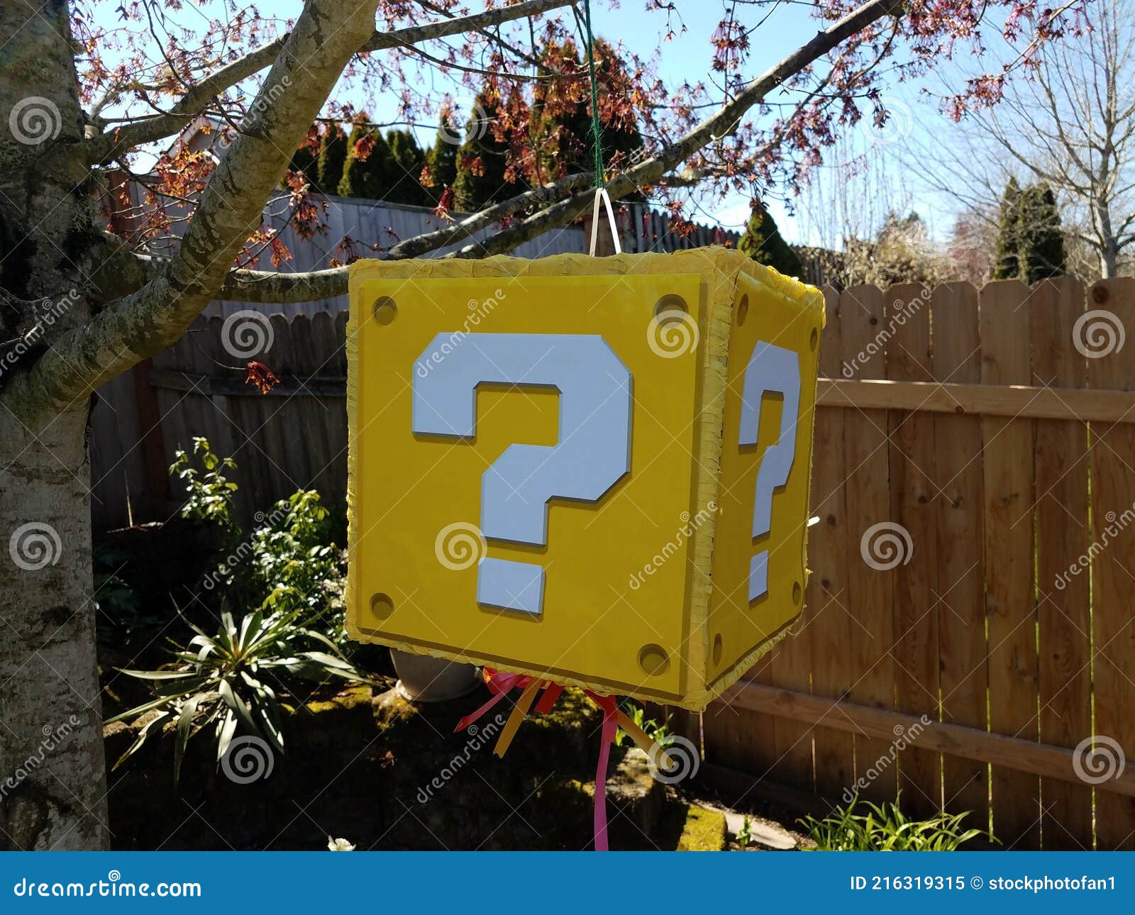 Yellow Question Mark Block Pinata Hanging from Tree Stock Image