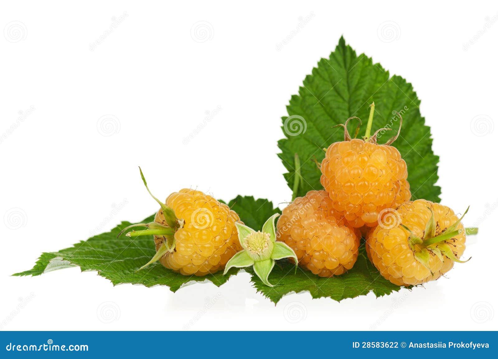 Yellow raspberries stock photo. Image of crop, heap, organic 28583622
