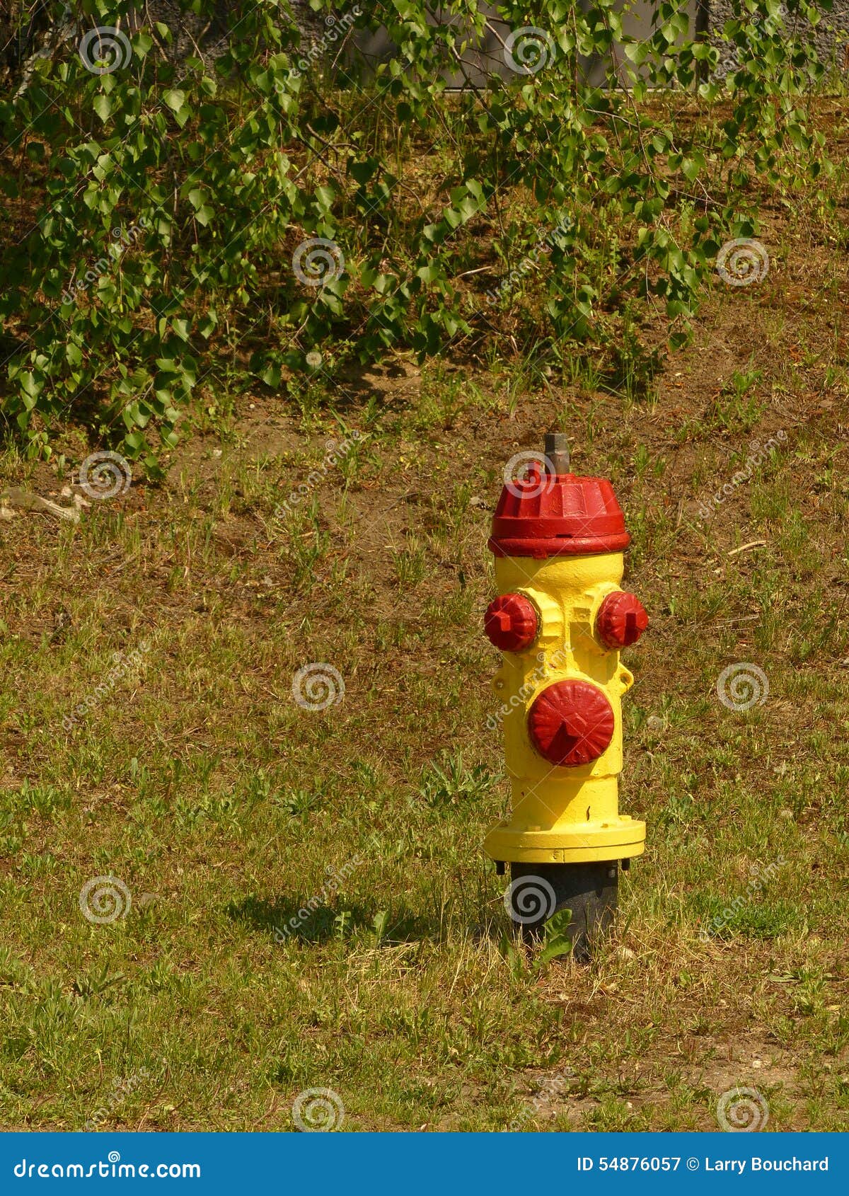 Yellow and Red Fire Hydrant Stock Image Image of fire, caterpillar