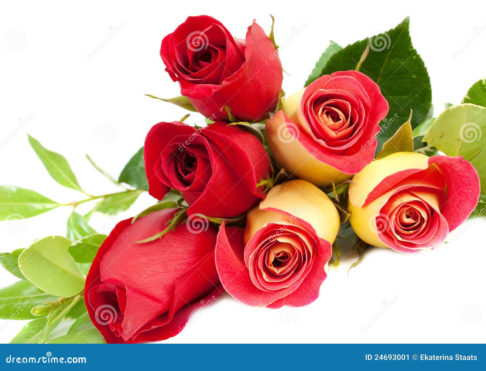 Yellow and Red Roses Bouquet Stock Image Image of single, love 24693001