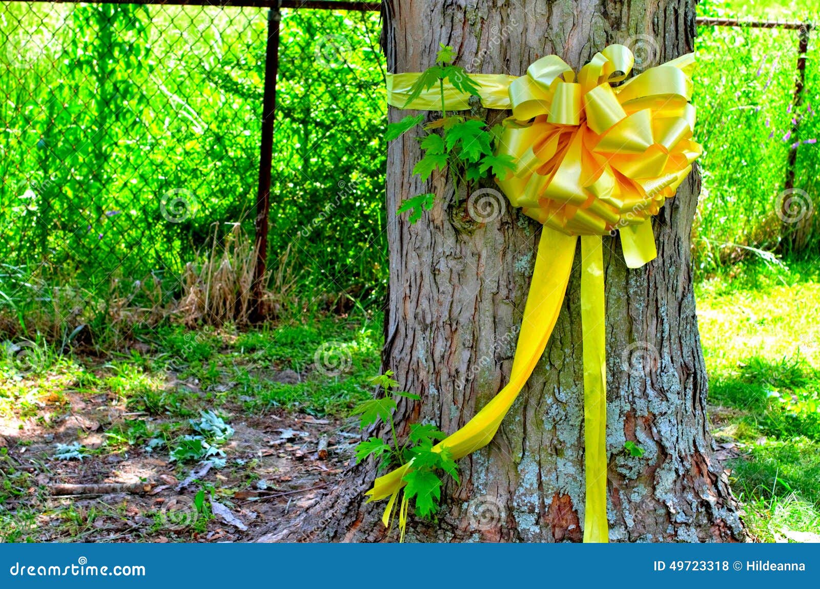 135 Navy Ribbons Stock Photos - Free & Royalty-Free Stock Photos from  Dreamstime