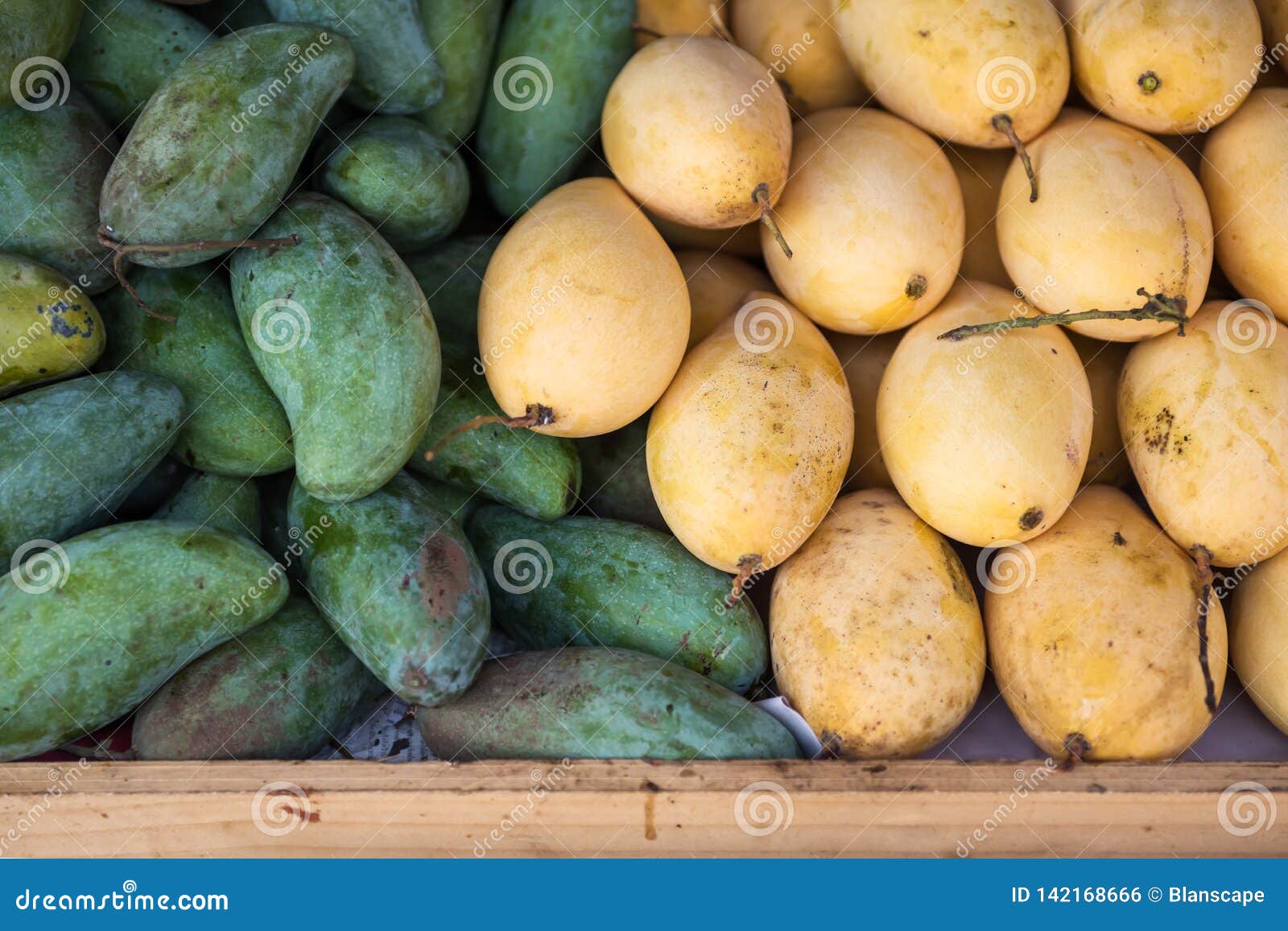 Yellow Ripe and Fresh Green Mango for Sale Stock Photo Image of acid