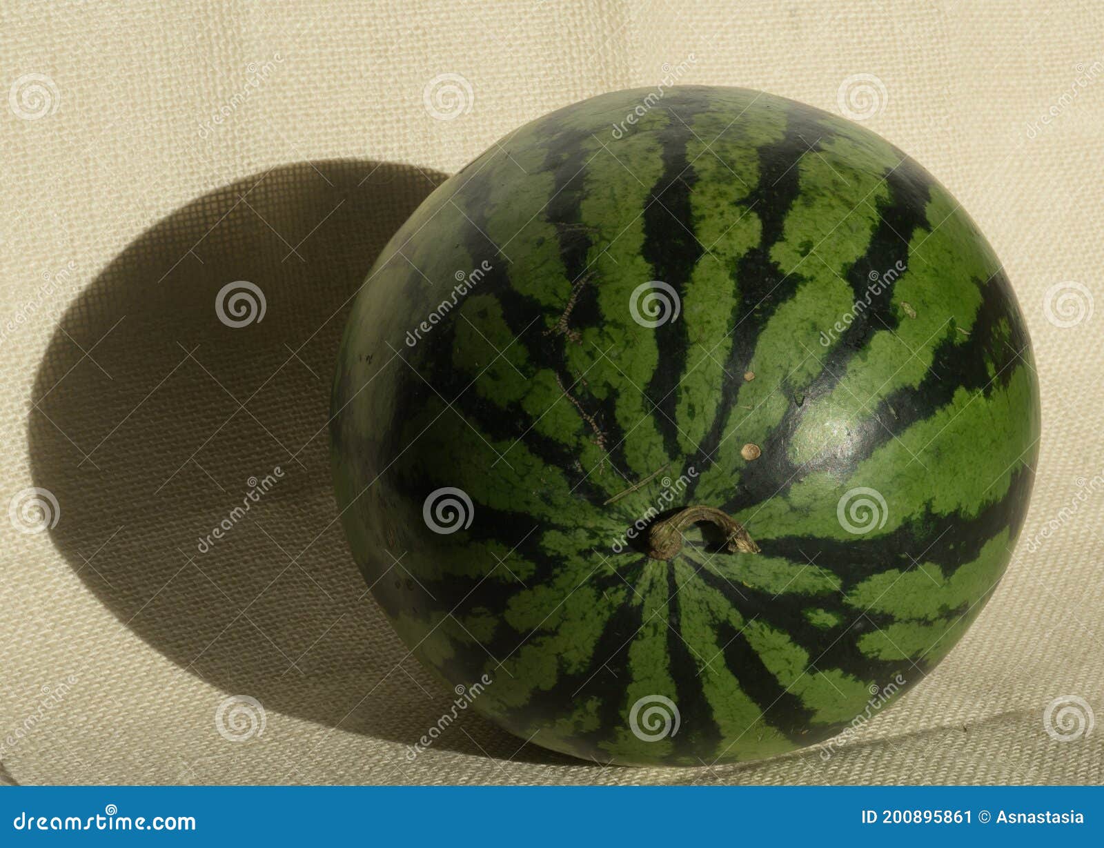 Yellow Ripe Whole Watermelon for Watermelon Diet Stock Image Image of berry, chopped 200895861