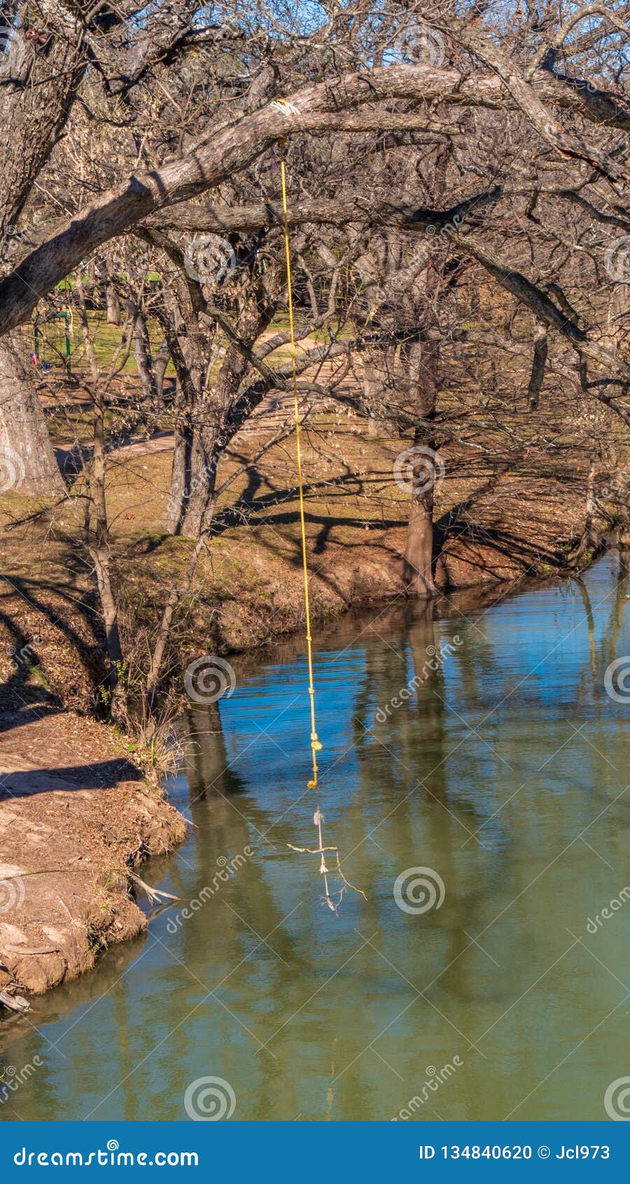 Yellow Rope Swing on a Tree Growing Over the Water on a River Stock Photo -  Image of season, blue: 134840620