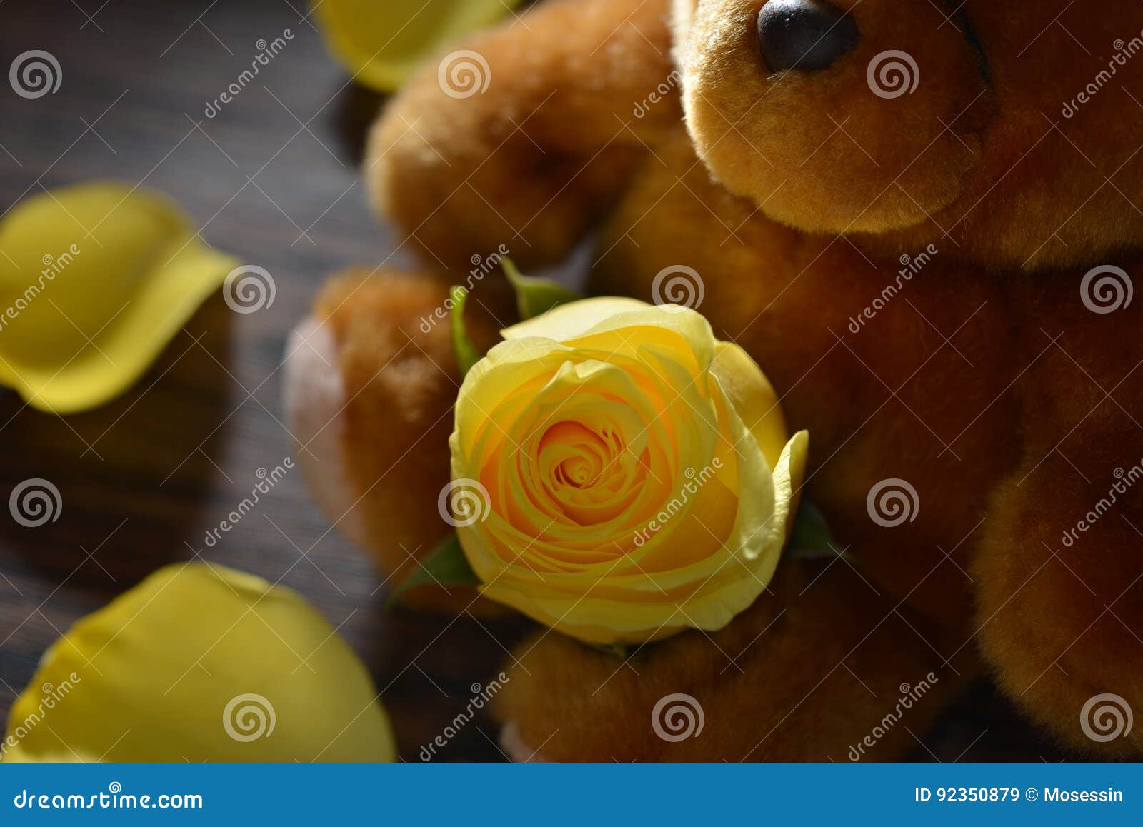 Yellow Rose bear stock image. Image of celebrate, close 92350879