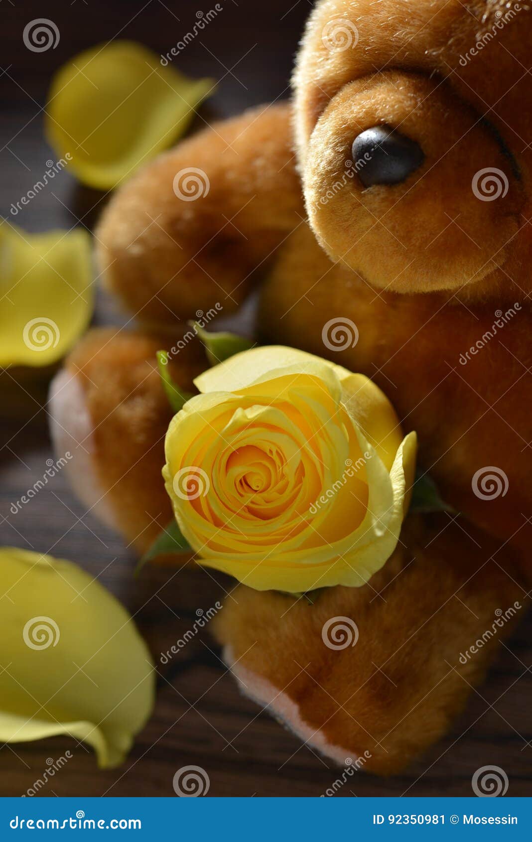 Yellow Rose bear stock image. Image of leaf, bear, brown 92350981