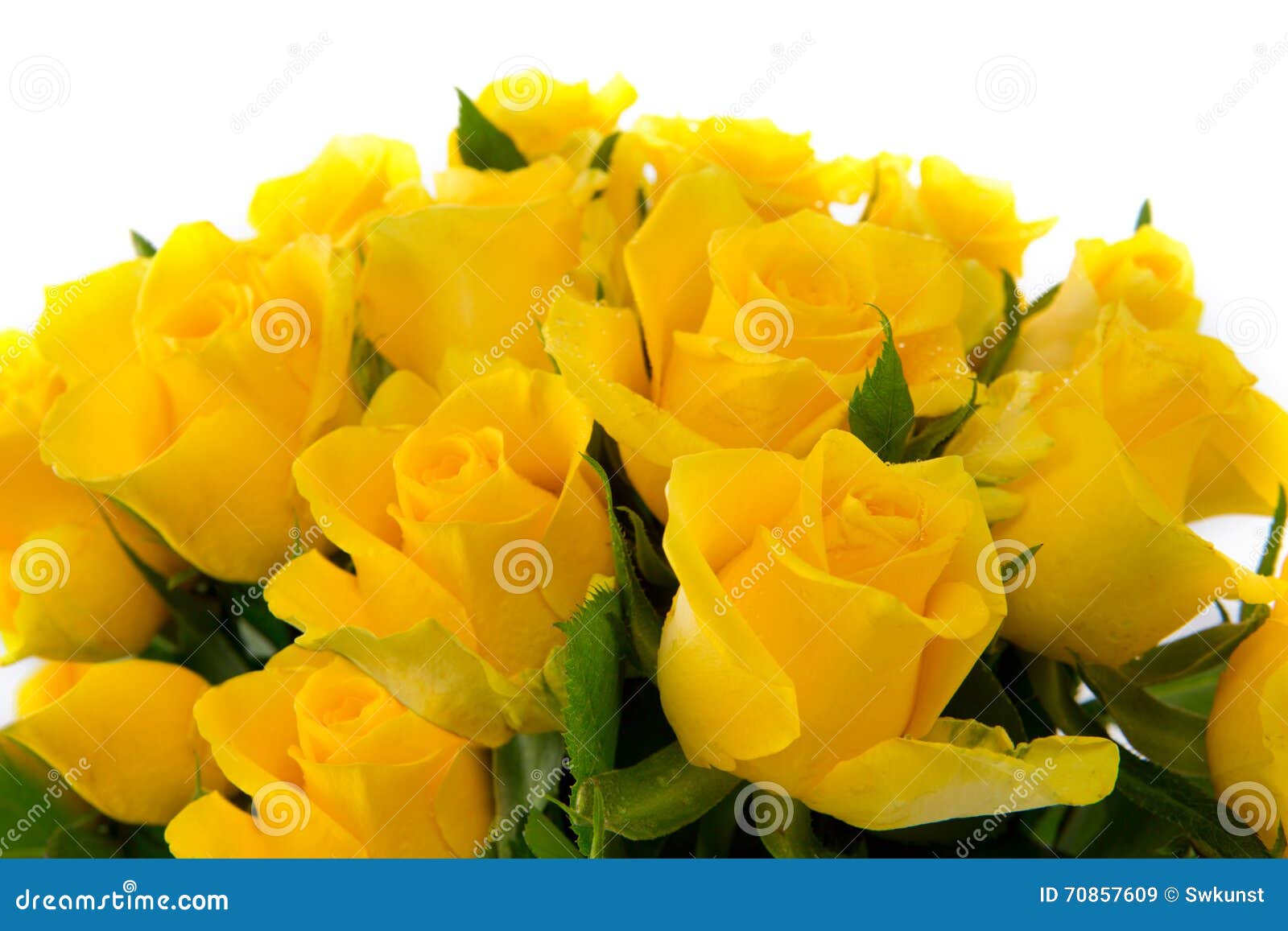 Yellow Rose Bouquet Isolated. Stock Image Image of decoration, nature