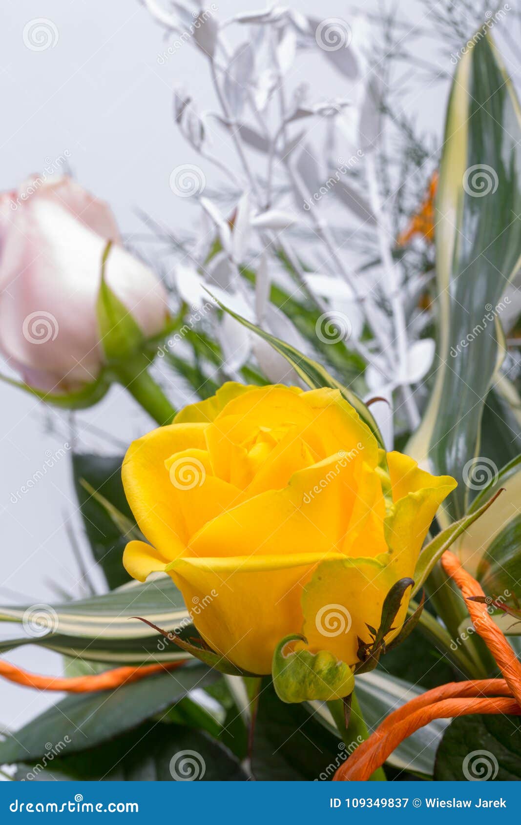 The Yellow Rose Flower Bouquet Stock Image Image of closeup, design