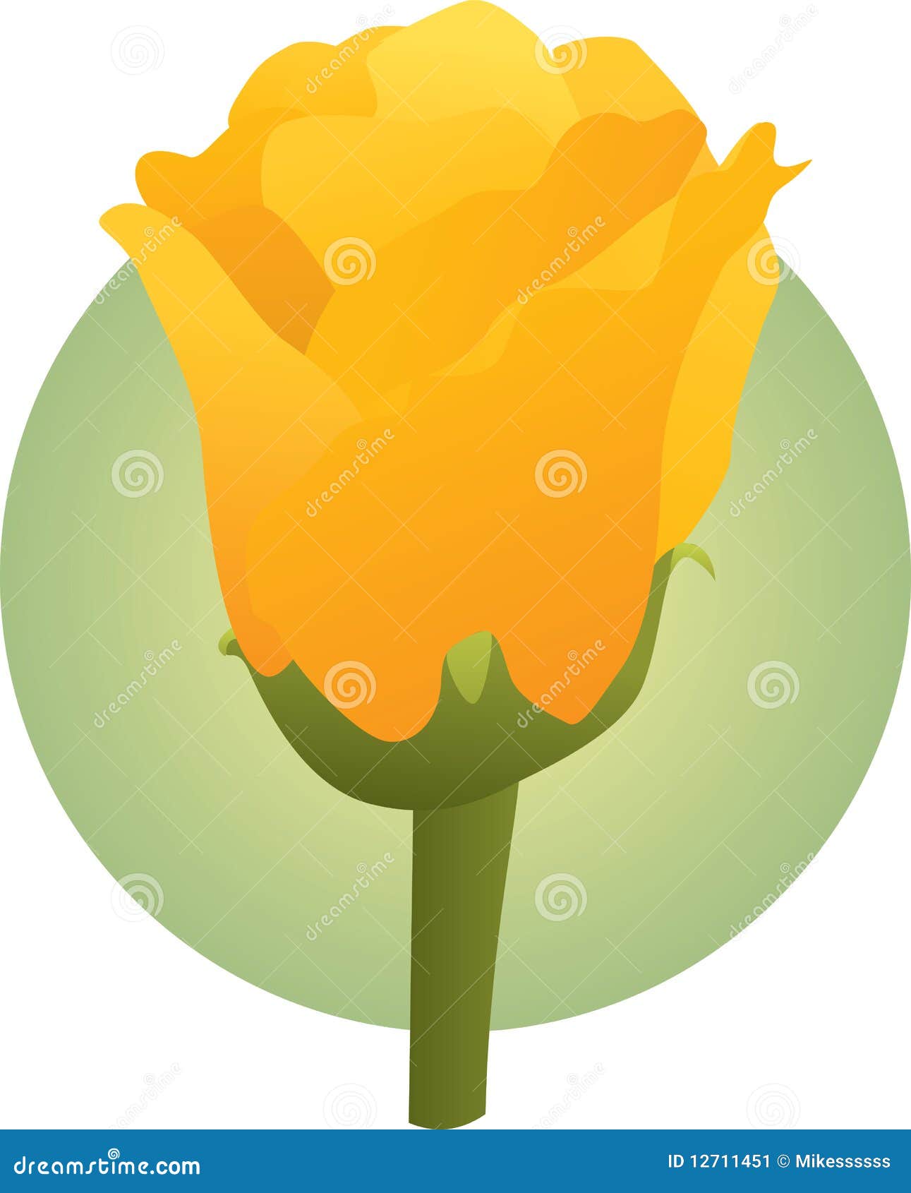 Yellow Rose Flower Illustration Stock Illustration Illustration of