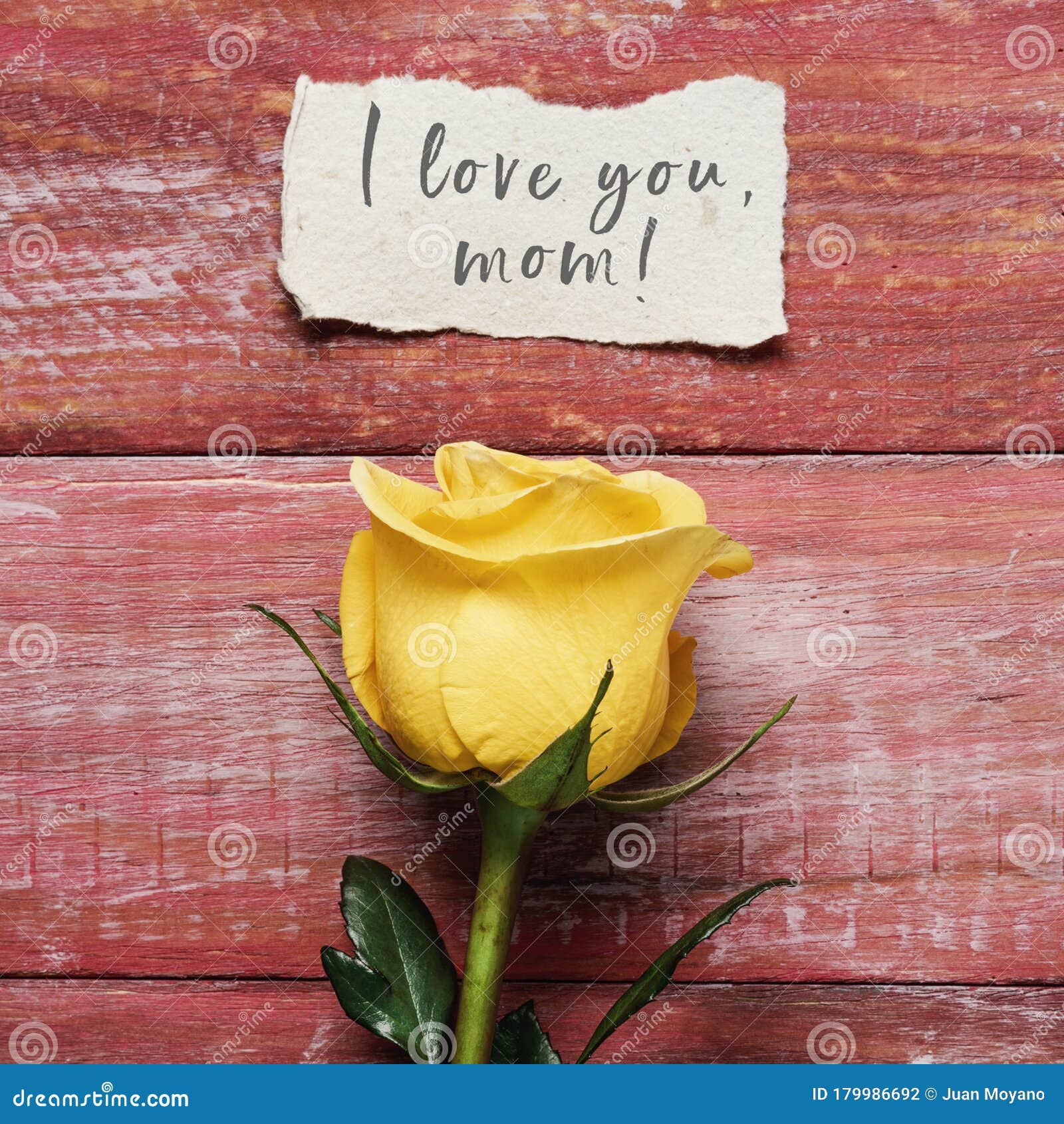 1 156 I Love You Mom Photos Free Royalty Free Stock Photos From Dreamstime