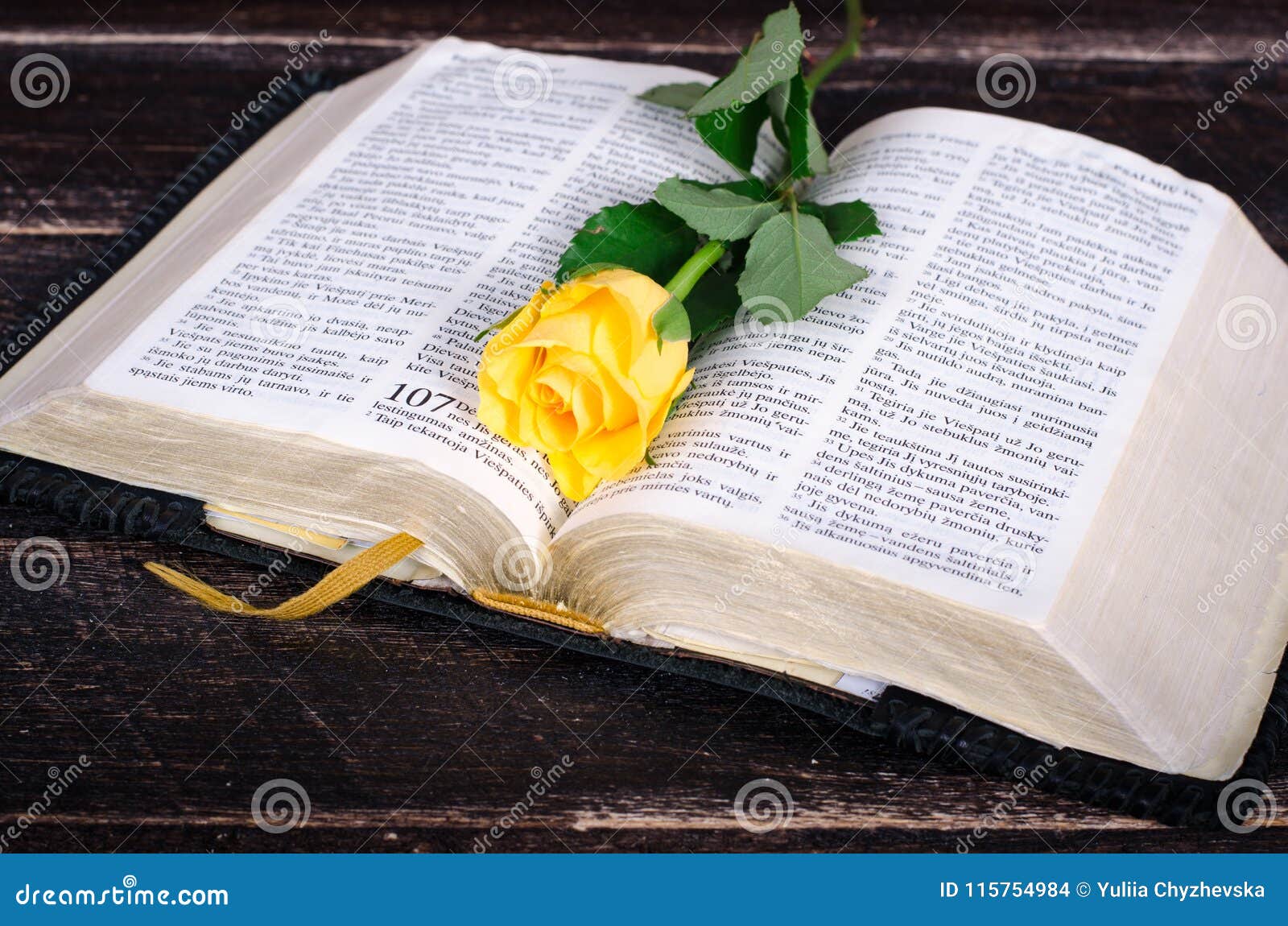 Yellow Rose on Top of an Old Bible. Stock Photo Image of religion