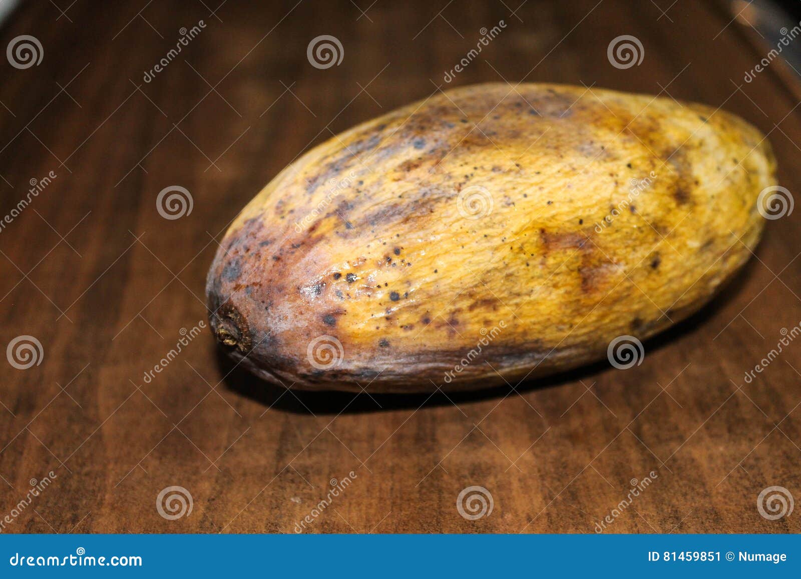 Yellow Rotten Mango Fruit Isolated on Wood Stock Image - Image of hanger,  isolated: 81459851