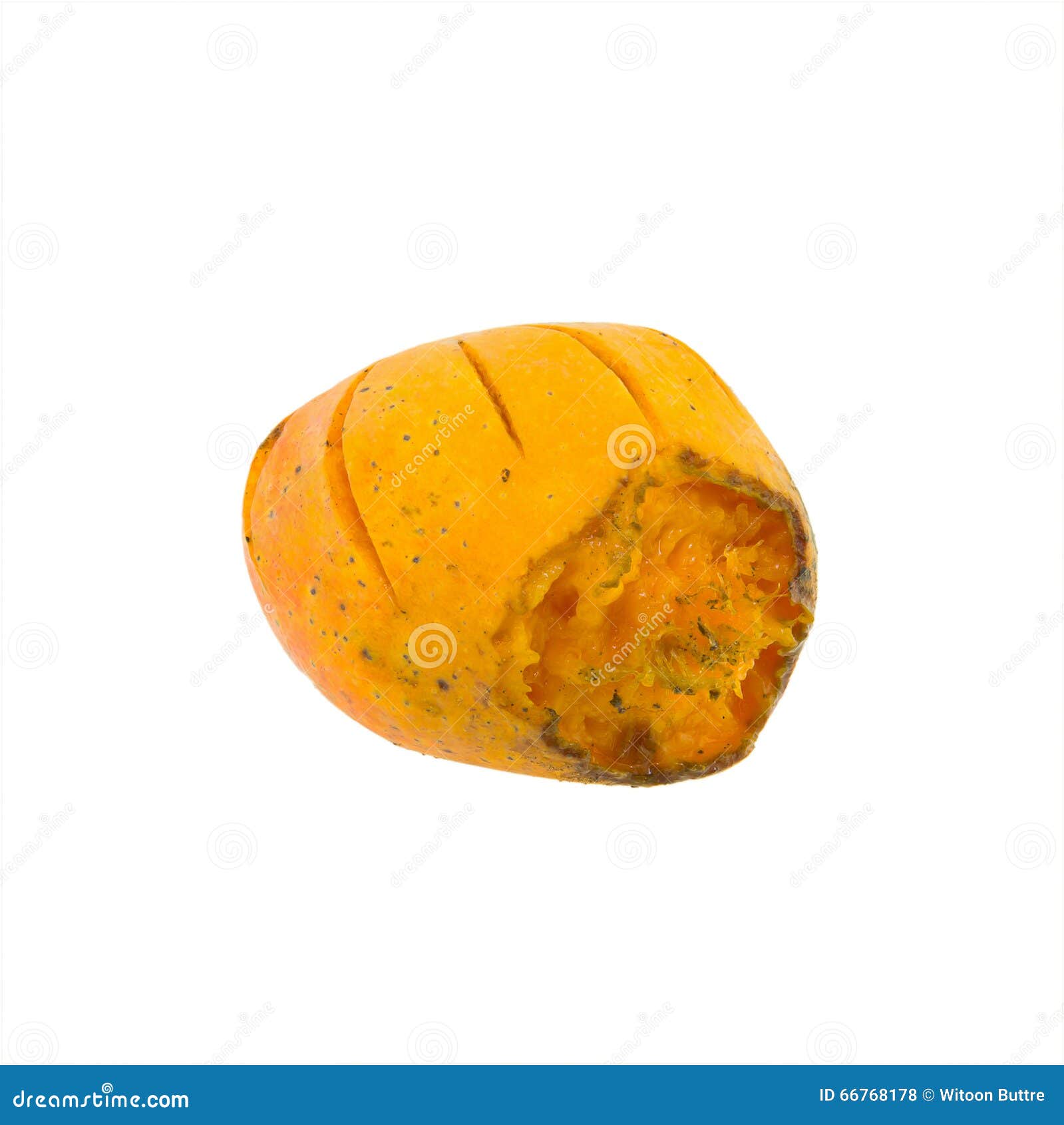 Yellow Rotten Mango Fruit Isolated on Wood Stock Image - Image of hanger,  isolated: 81459851