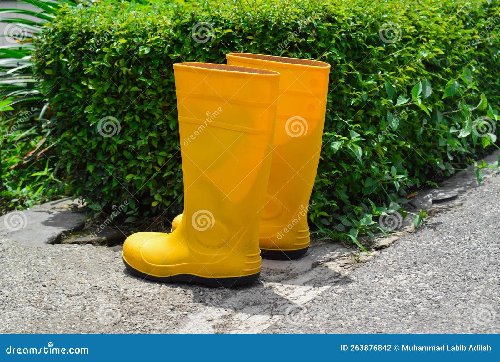 Yellow Rubber Boots in the Garden Stock Photo Image of clothing