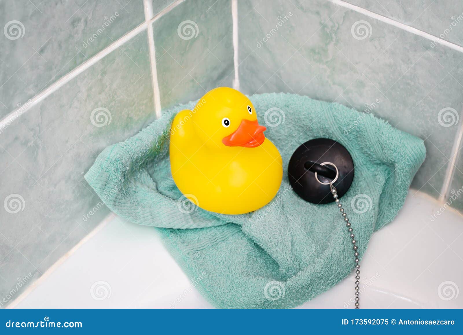 Yellow Rubber Duck in the Bathroom Stock Image Image of childhood