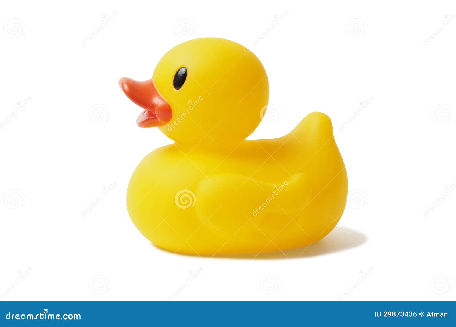 rubber duck