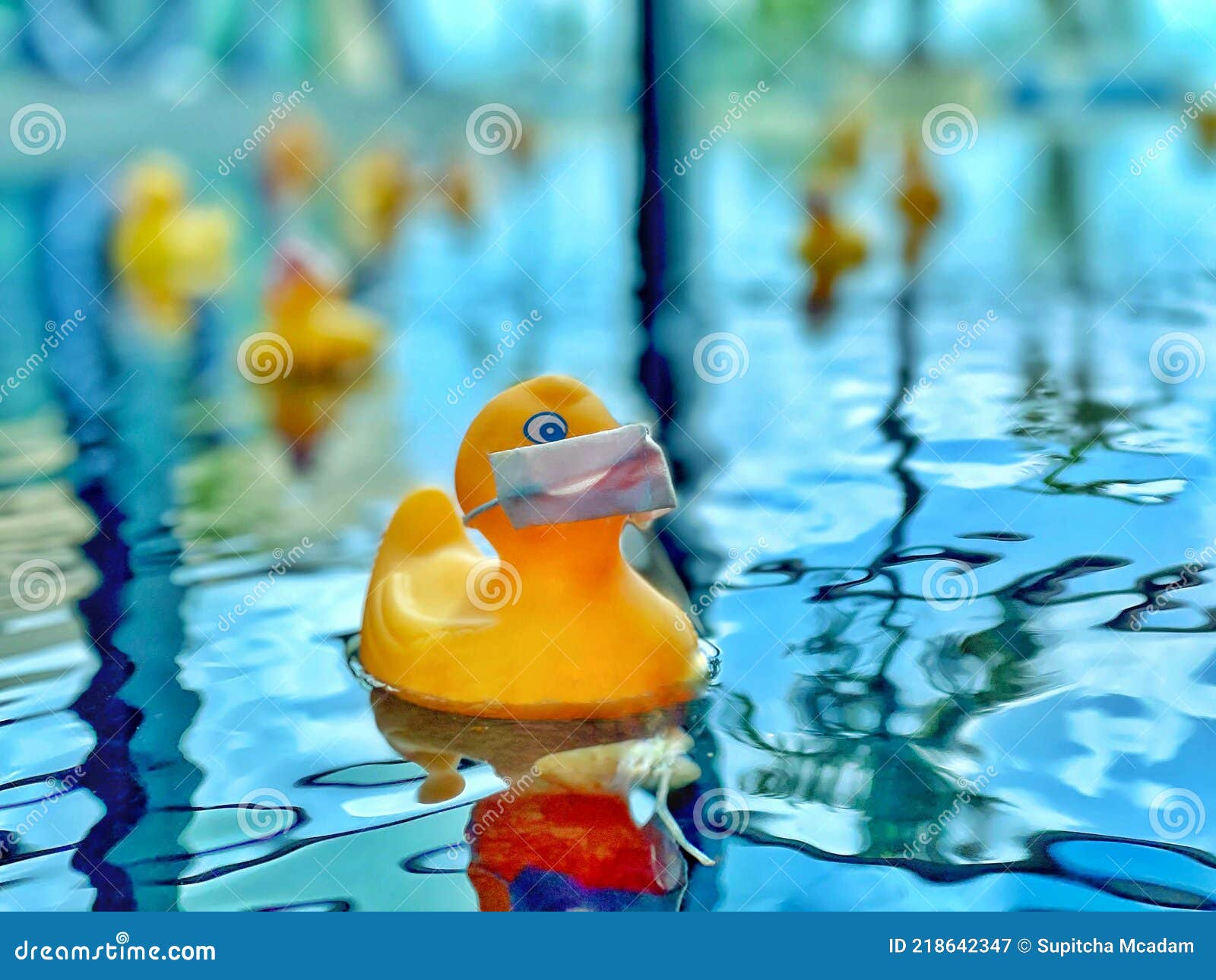 The Yellow Rubber Duck are Wearing Mask Stock Image Image of funny