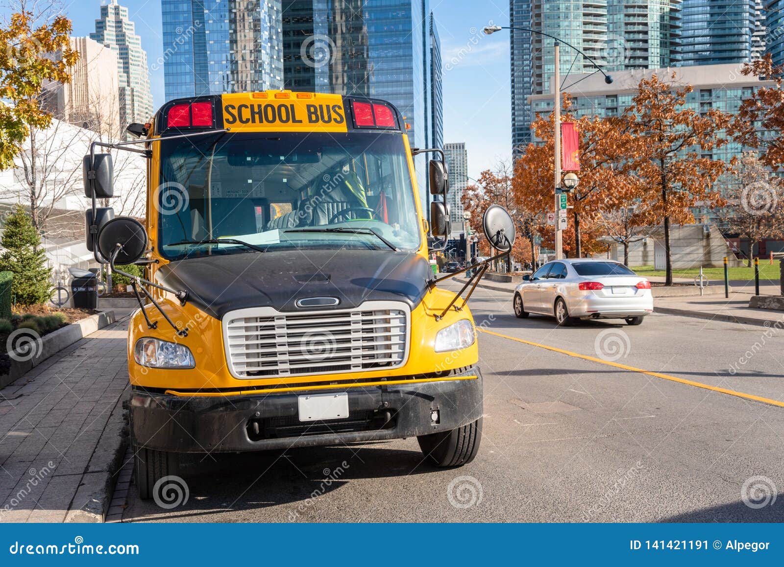 yellow school bus parked along a street on a sunny autumn morning