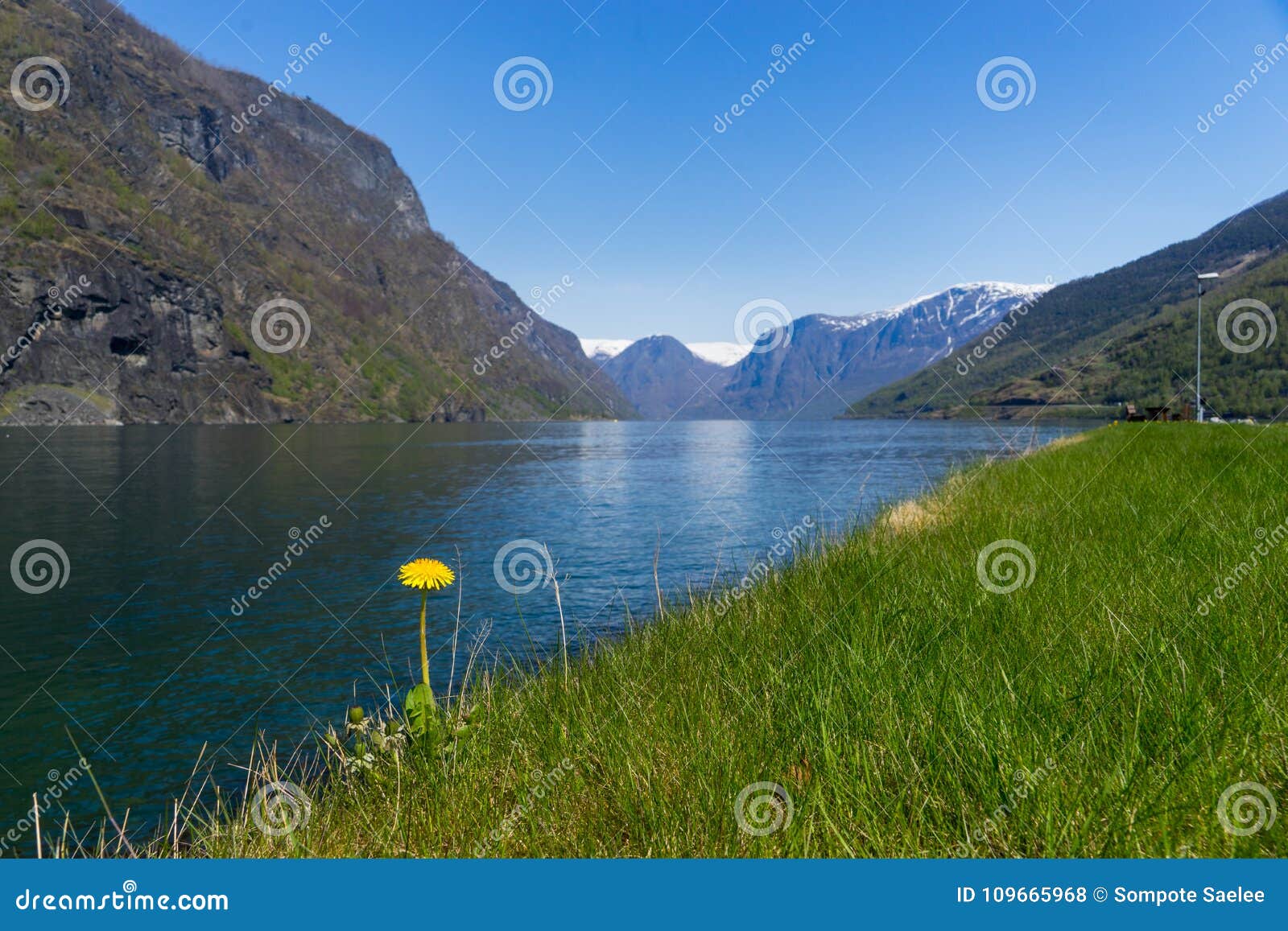 single fjord)