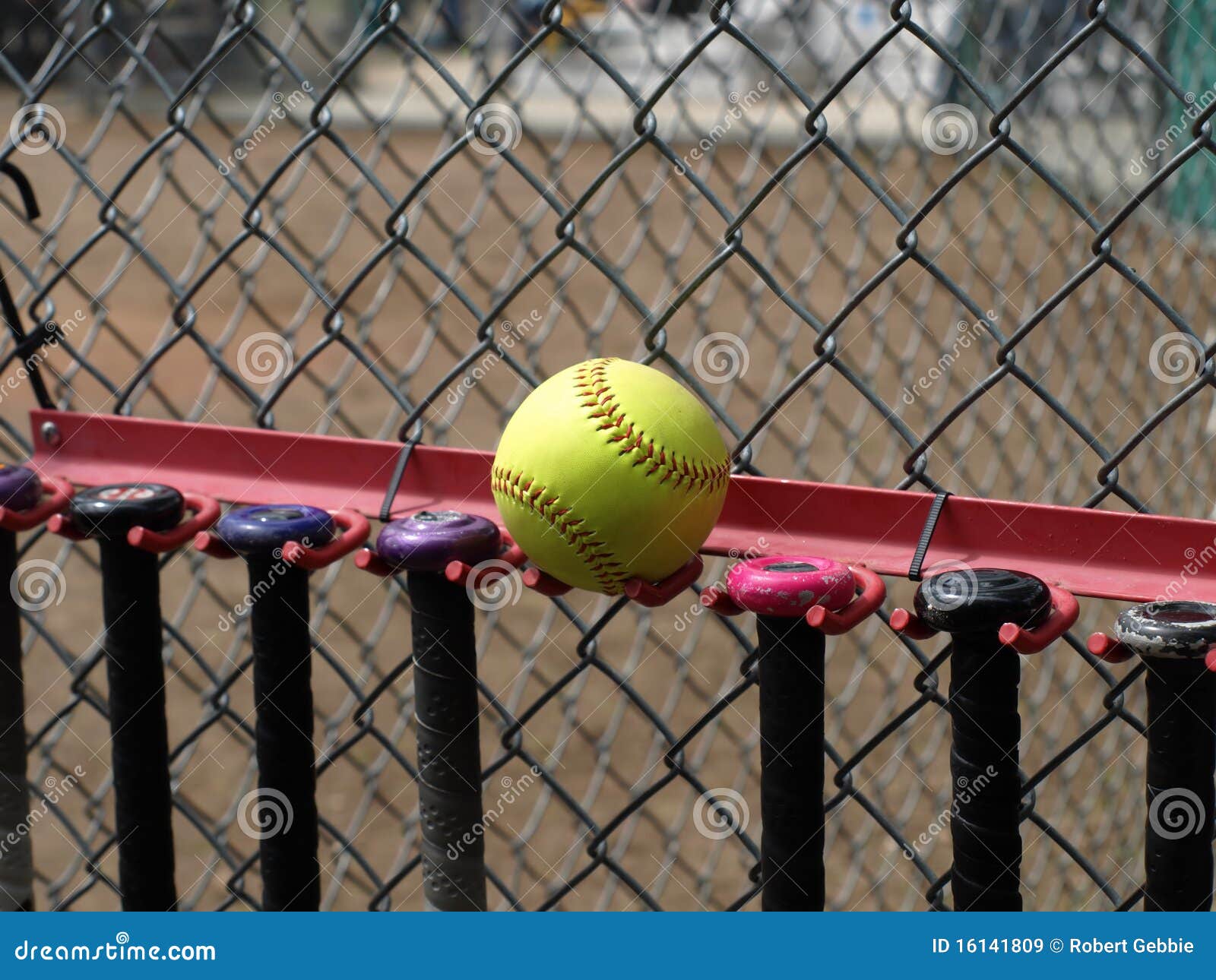 Yellow Softball and Bats stock image. Image of bats, yellow 16141809