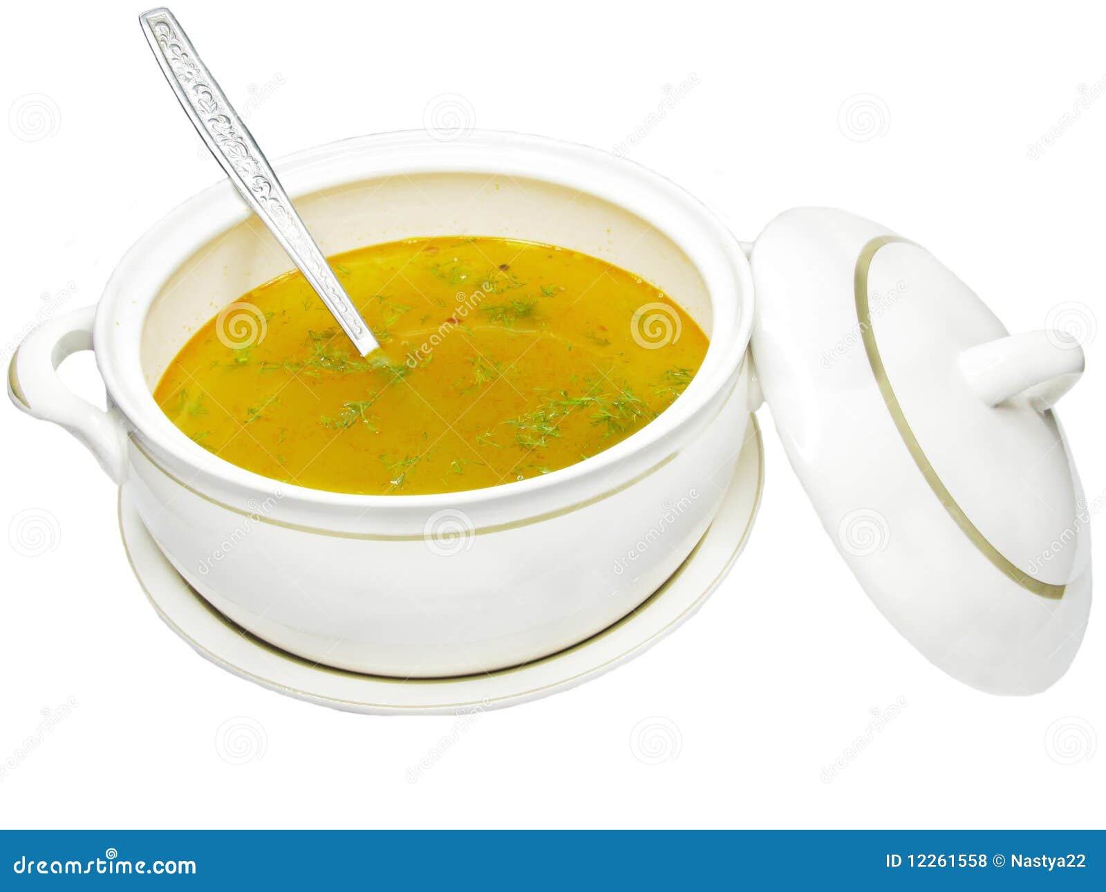 Yellow soup in tureen stock photo. Image of parsley, color 12261558