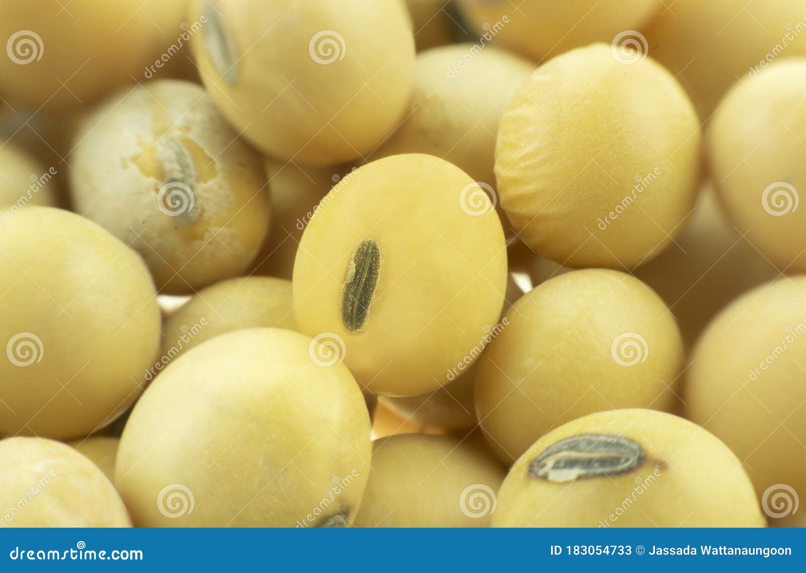 Yellow Soybean Seeds Background Stock Image Image of rural, organic